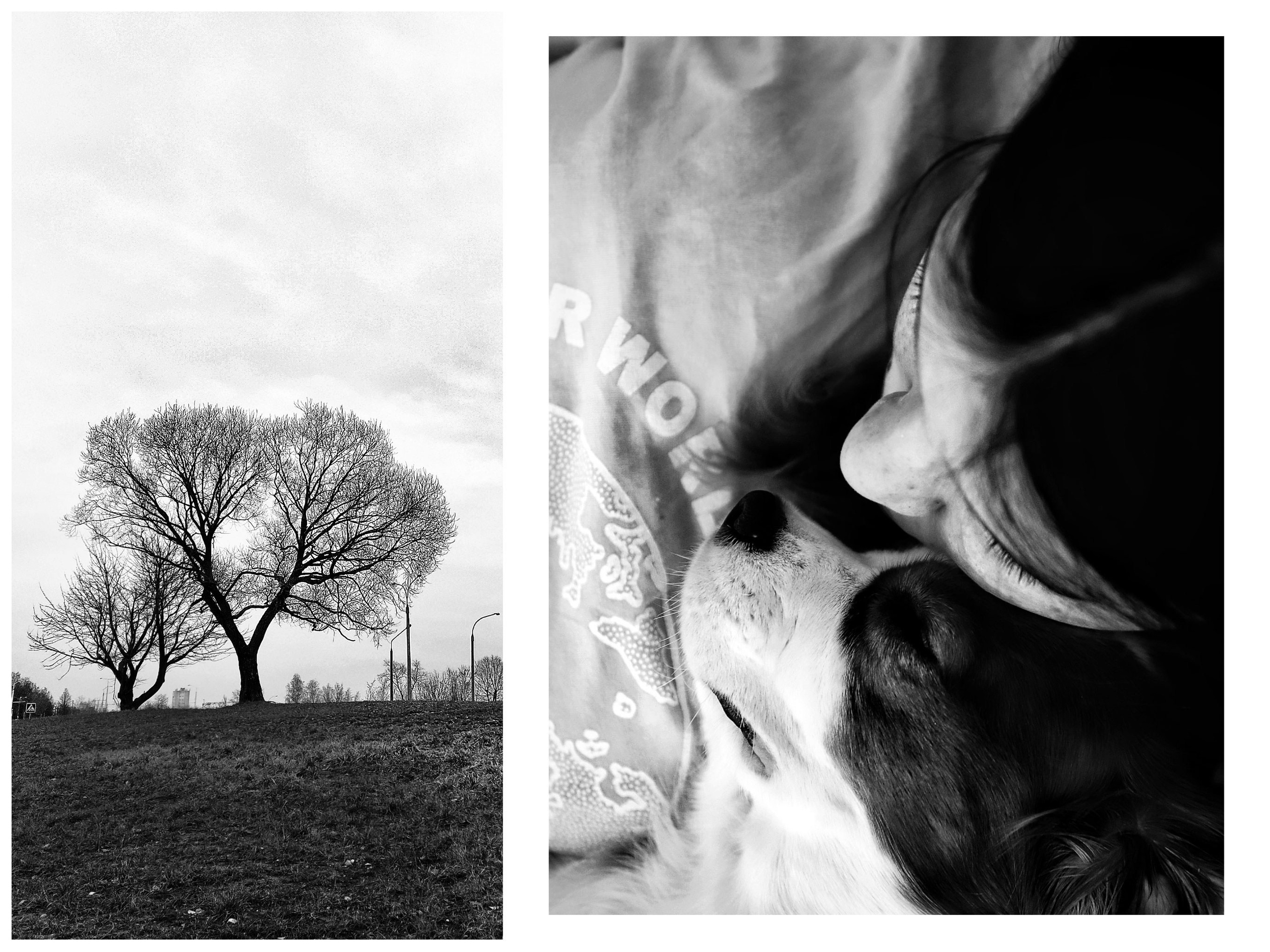 Connections (2020-2023). Tatyana Mazok creative photographer in Minsk