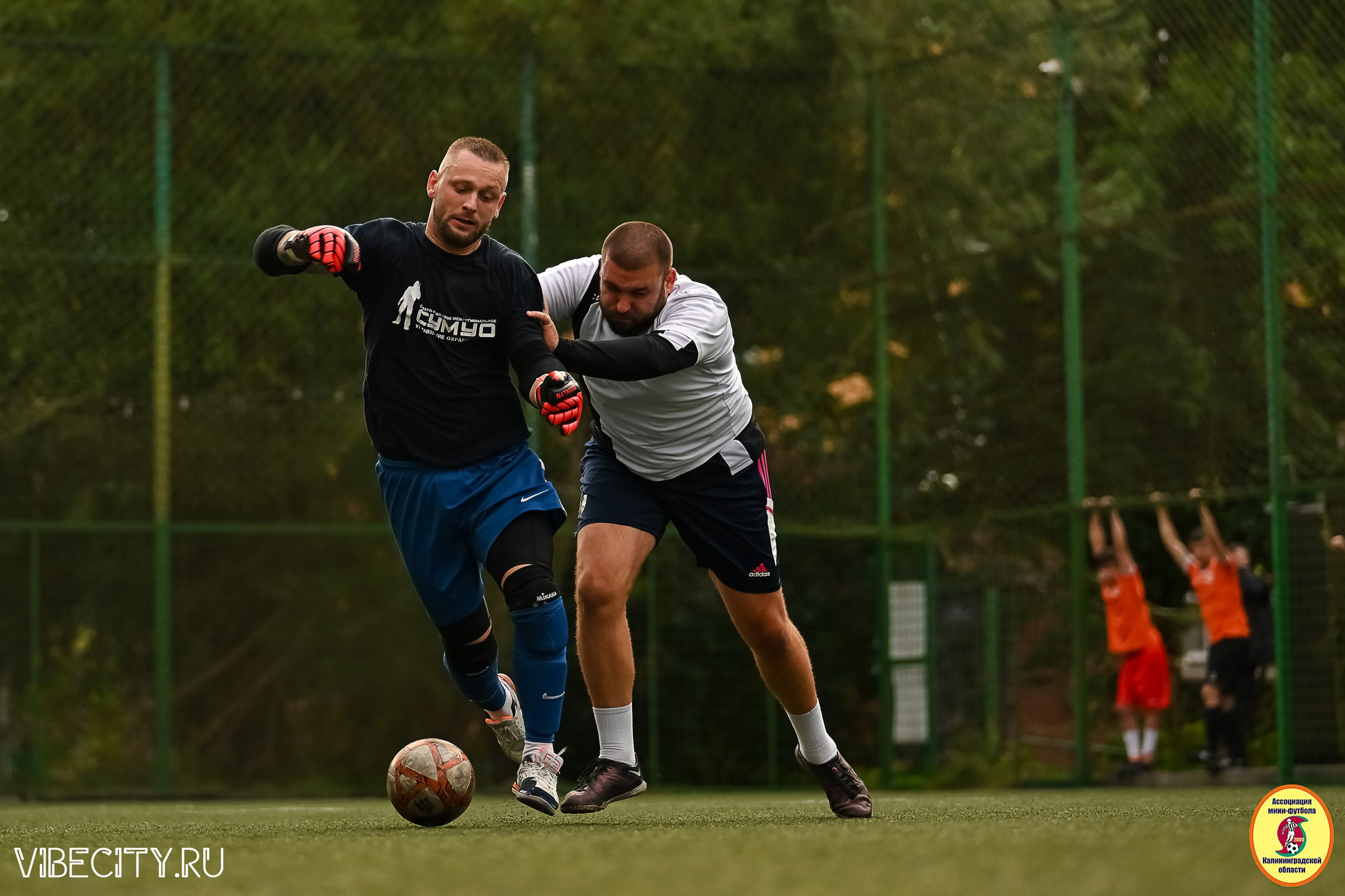 ИГРЫ МИНИ-ФУТБОЛЬНОЙ И КОРПОРАТИВНОЙ ЛИГИ. VIBECITY.RU Вайб Сити Ру Фоторепортажи Фотоотчеты Калининград