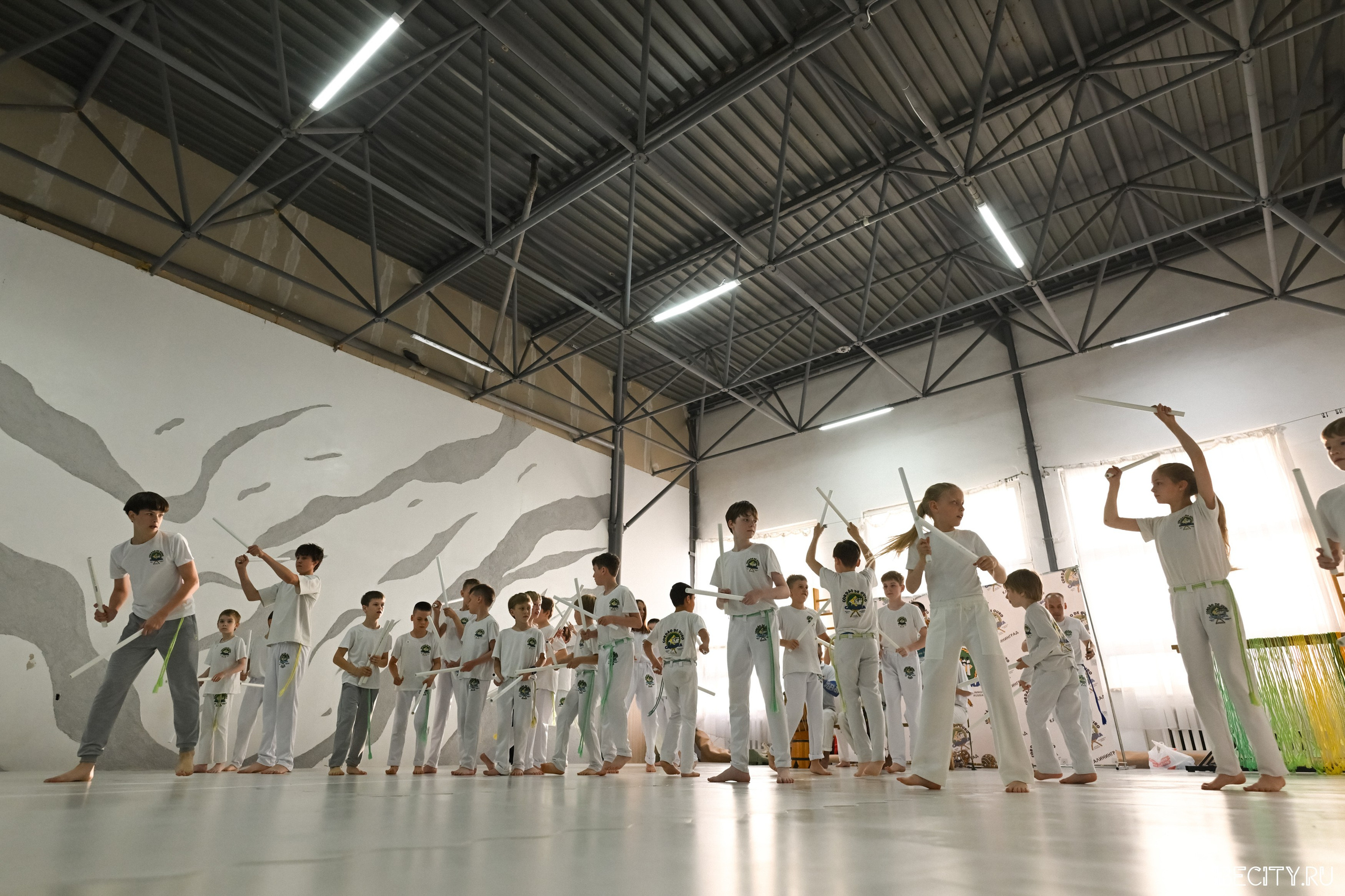 Capoeira: 4-е batizado e Troca de cordao. VIBECITY.RU Вайб Сити Ру Фоторепортажи Фотоотчеты Калининград