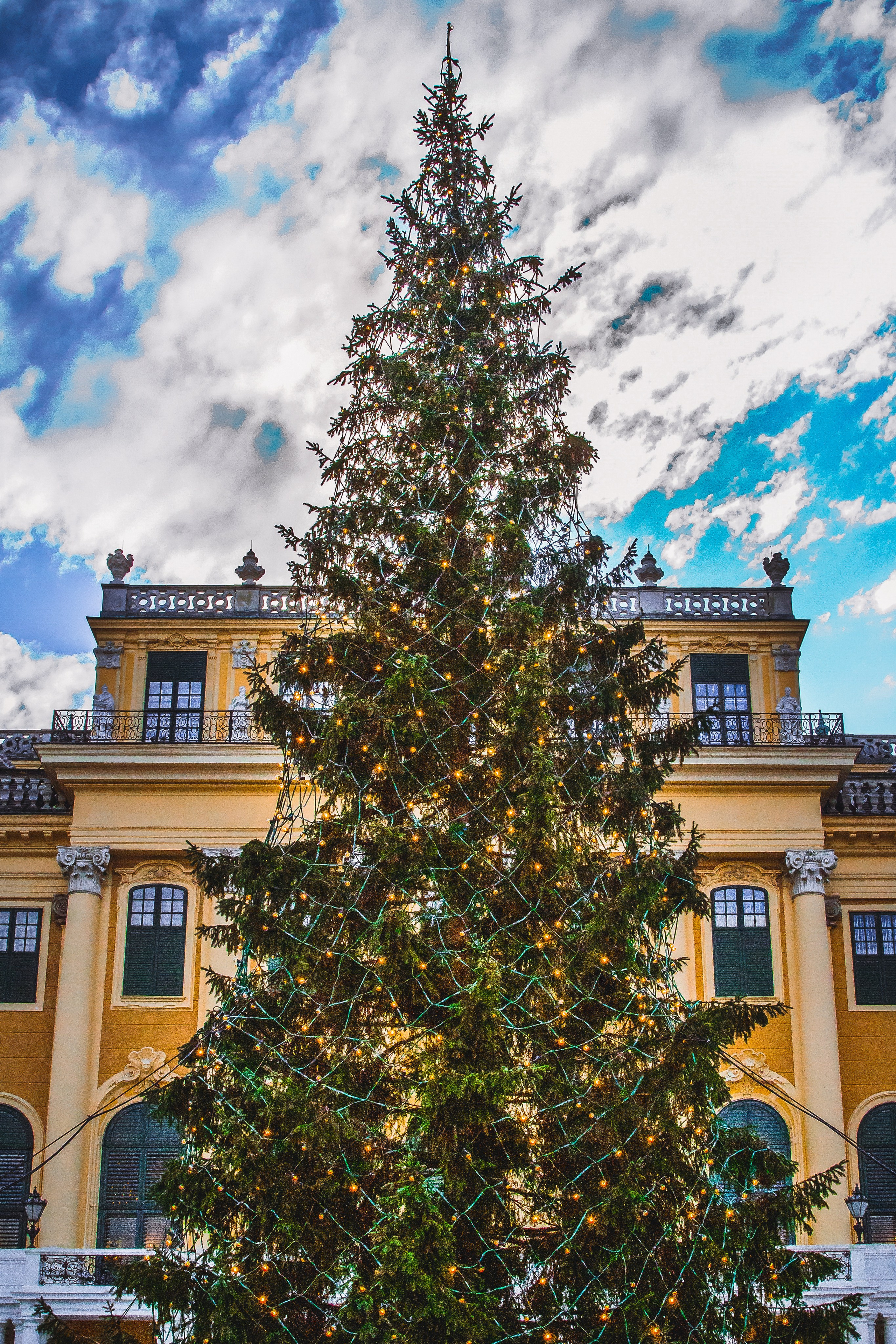 Австрия: Вена — знакомство. Дарья Письменюк / Darya Leitstern — фотограф, музыкант, журналист, путешественник