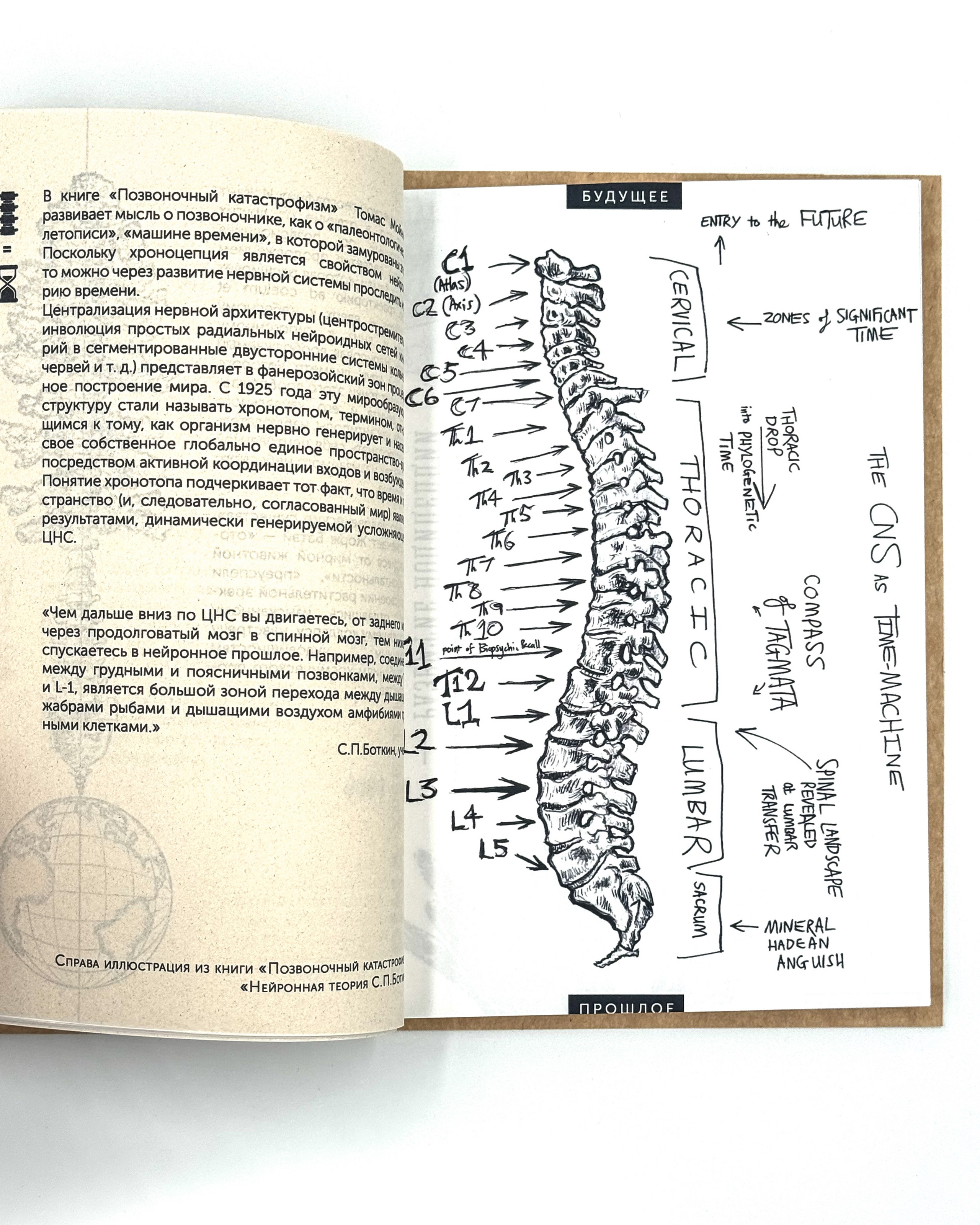 Почти увиденное. Лера Круглова