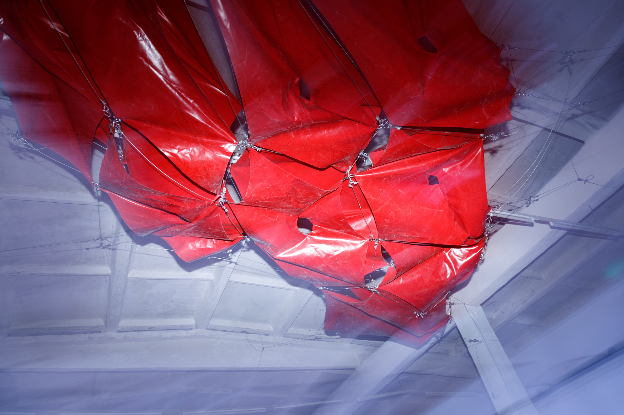 MyMuse. Photographer, Documentary and Art