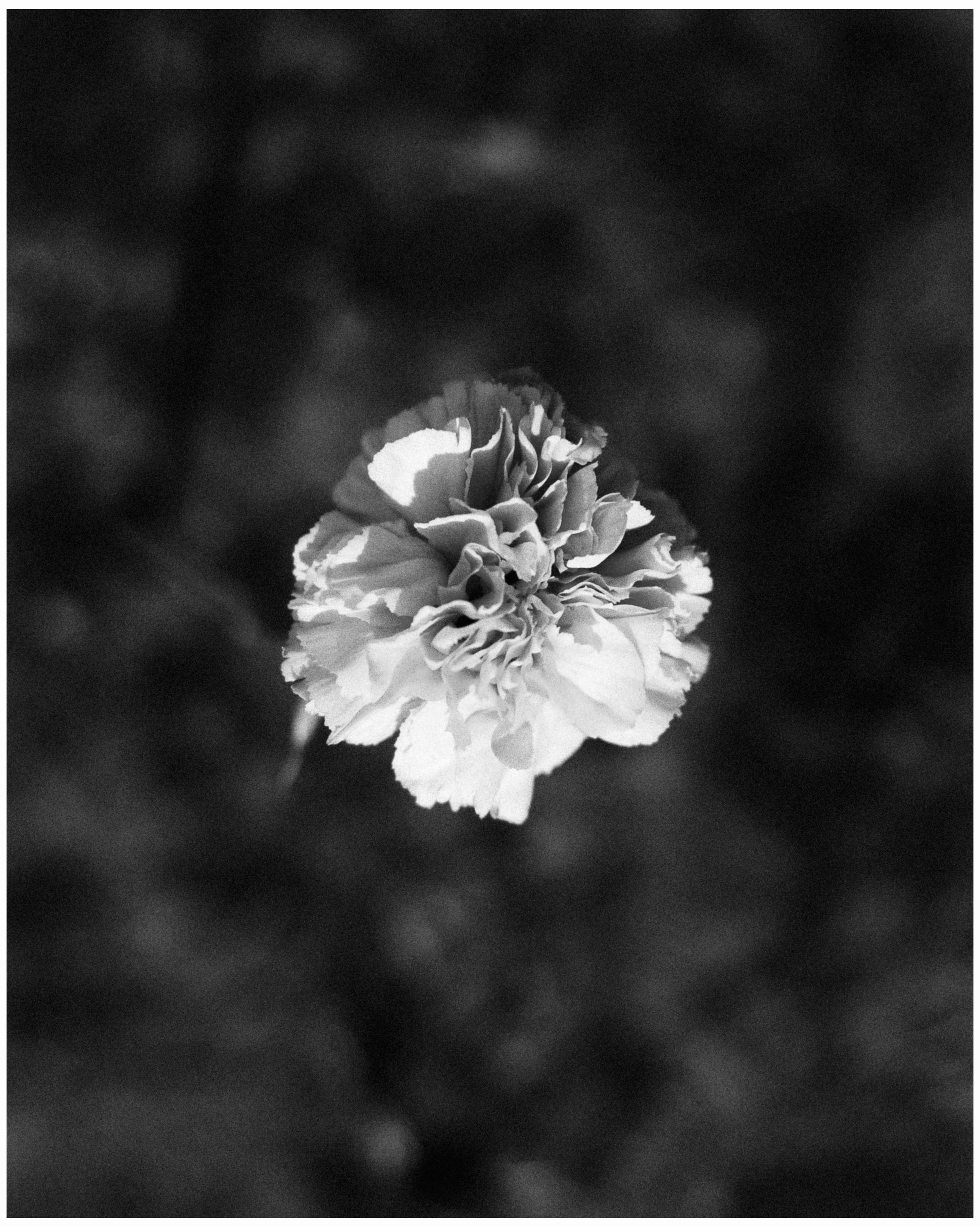 Фотограф в Калининграде, Софья Вологдина