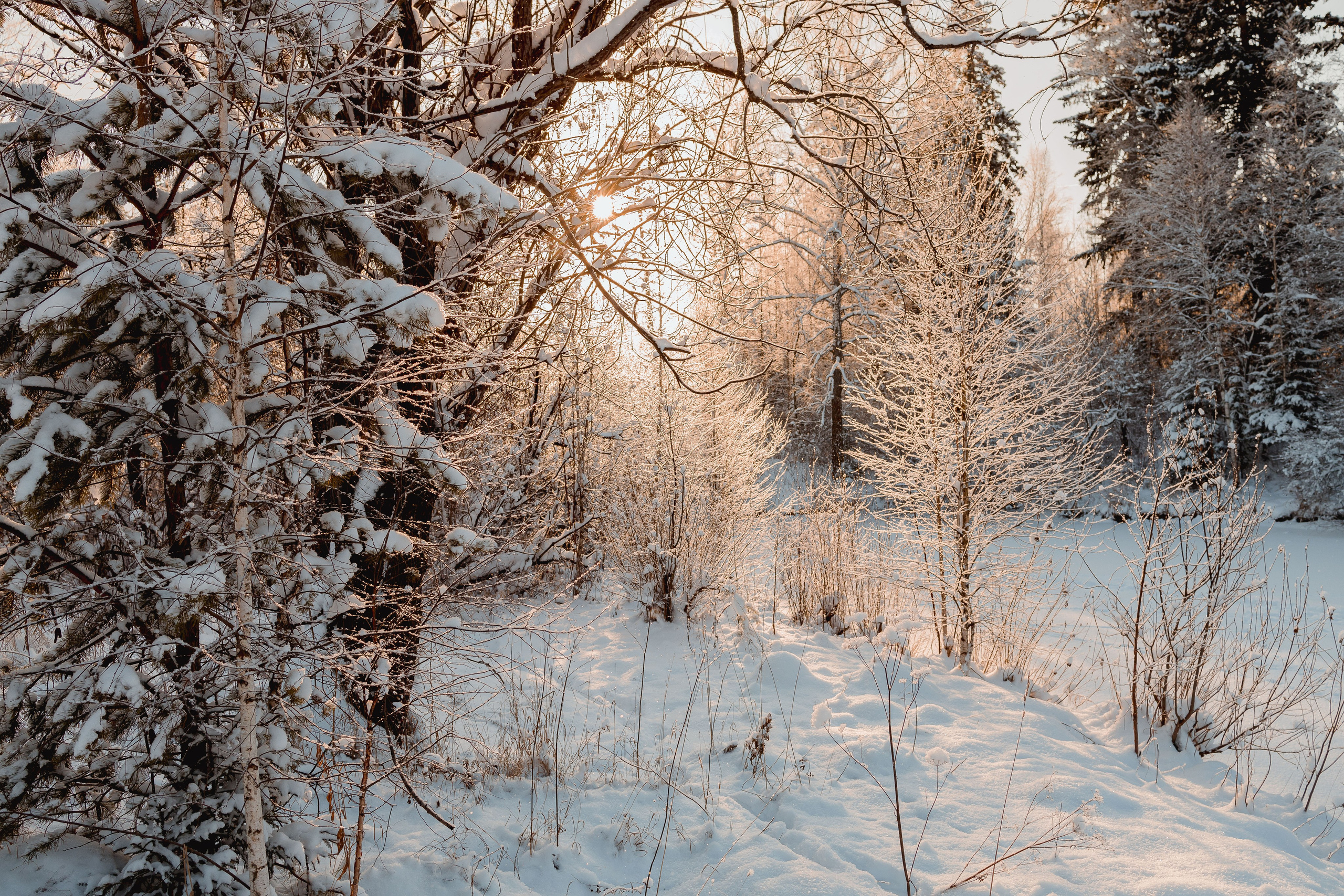Зима 2023, -30. Семейный и детский фотограф в Железногорске Саламахо Ольга
