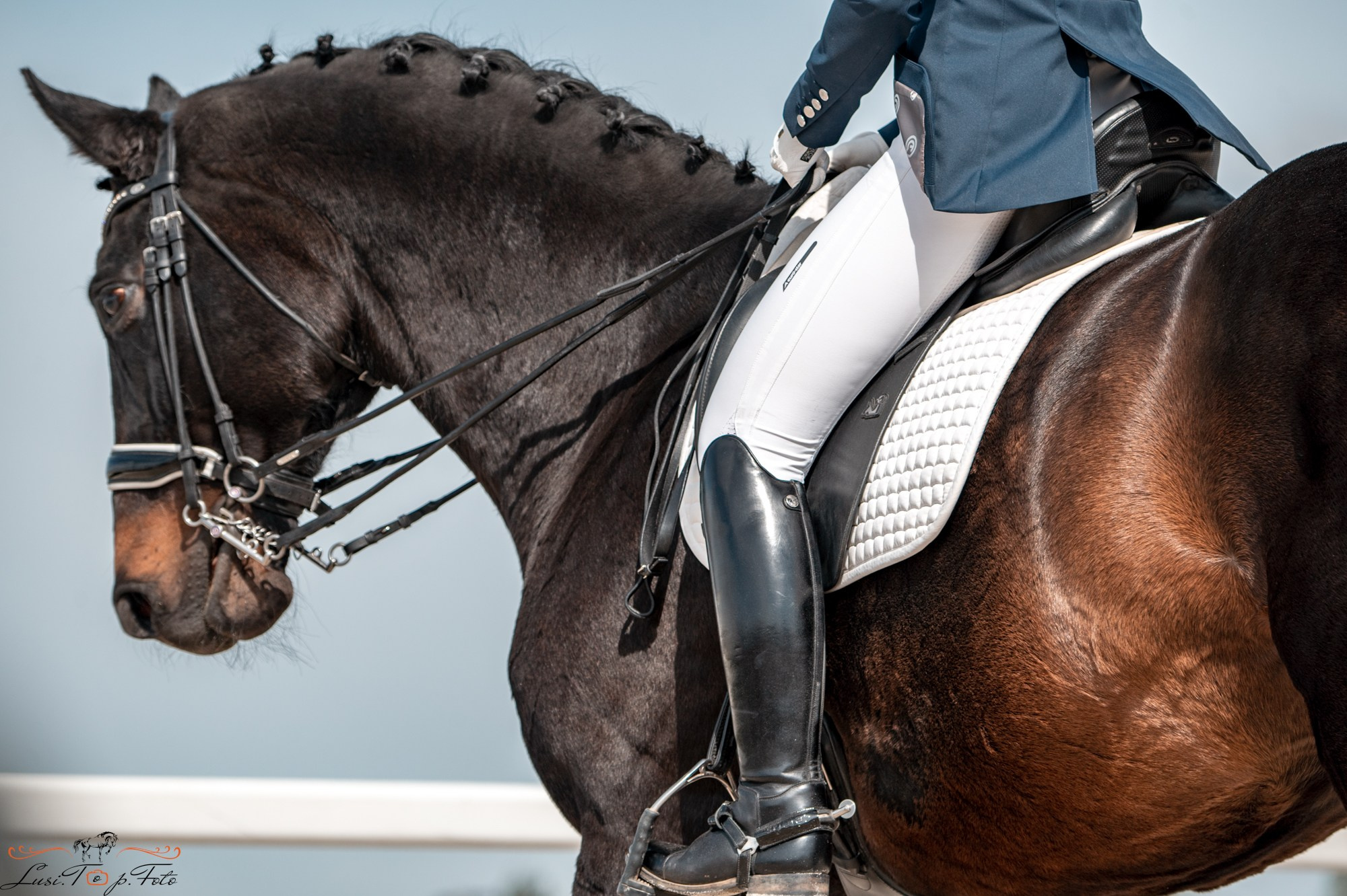 Кубок Победы конного Клуба EQUIPARK по выездке. Конный и фотограф с животными в Твери Топталова Люся