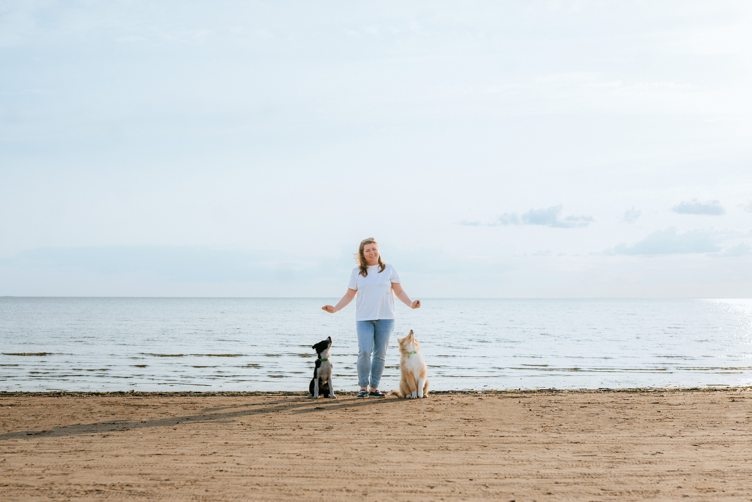 Фотосессия со щенками колли. Фотограф анималист в Спб недорого Олеся Майорова