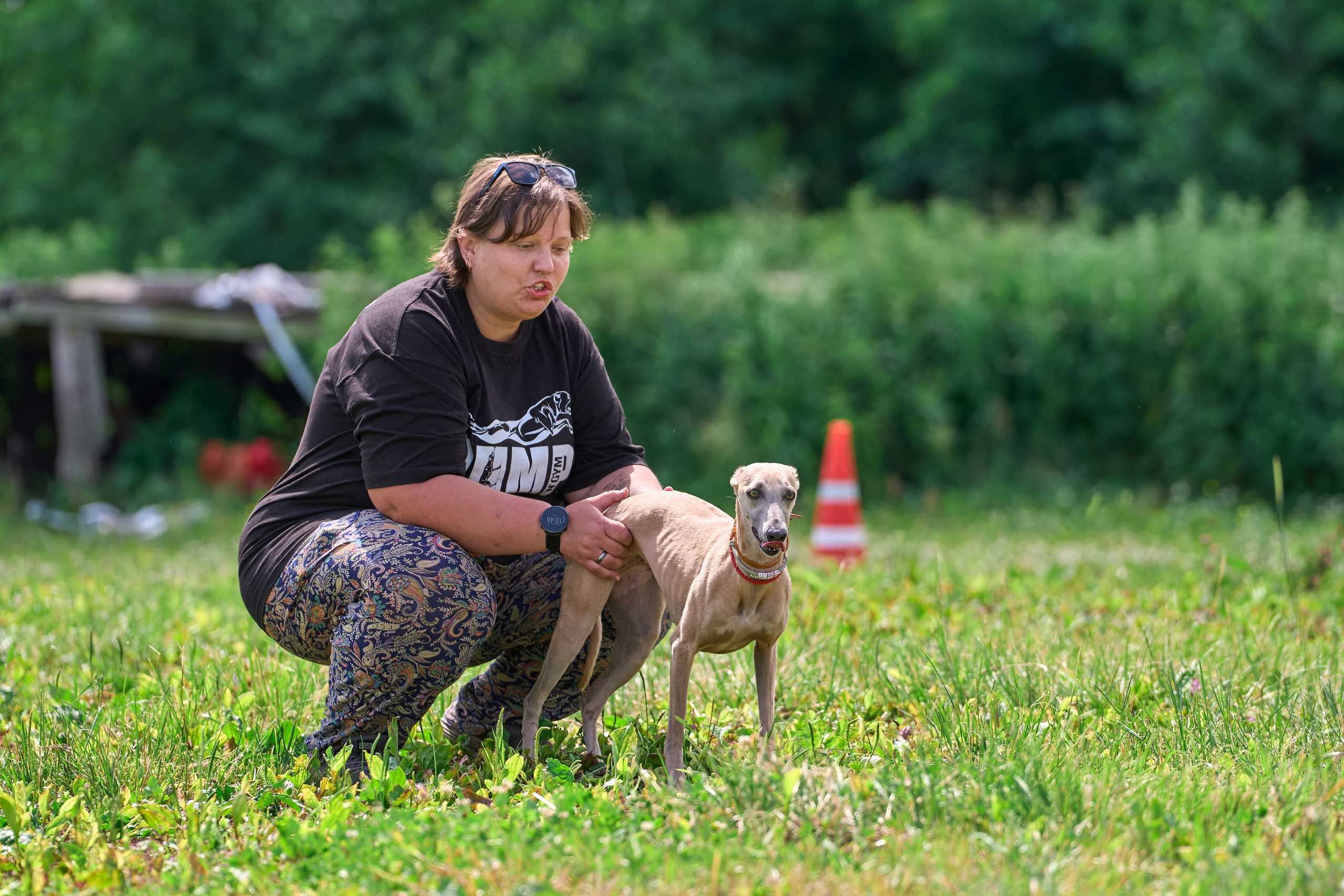 Тренировка по курсингу в Донино. Фотограф-анималист Михаил Манухин