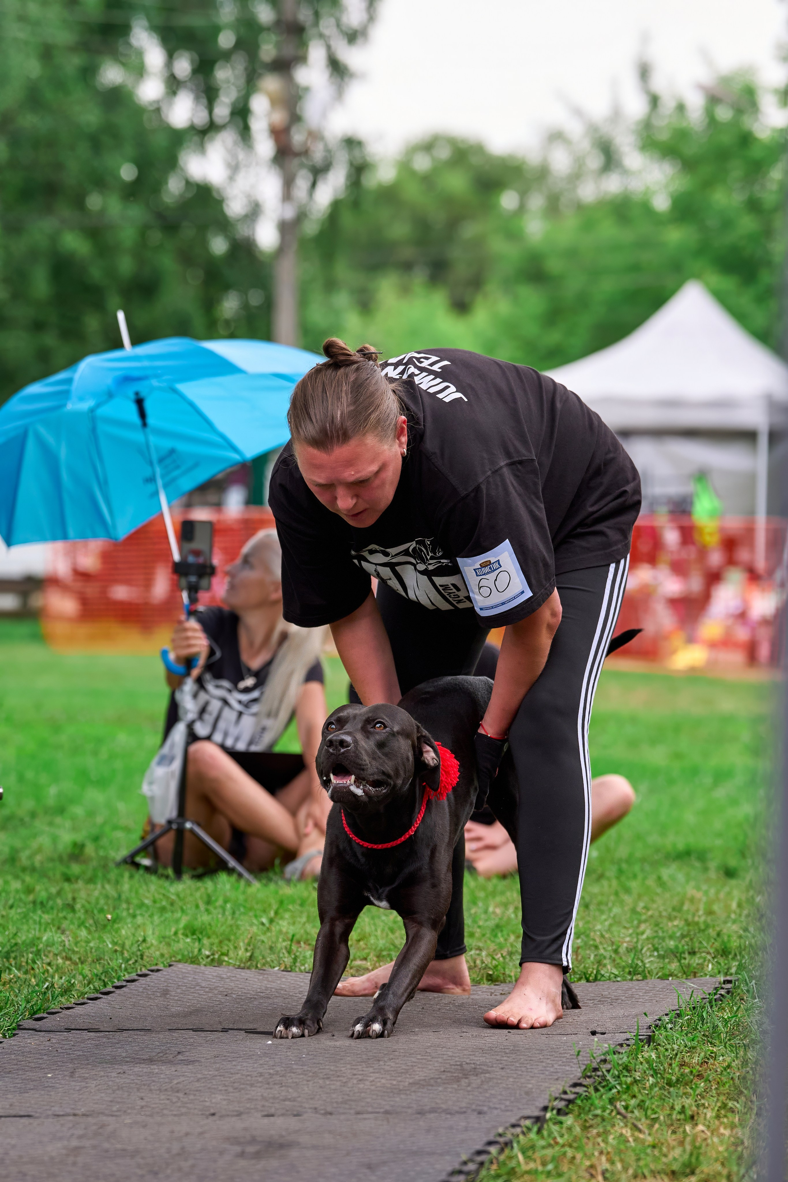 Двухдневные соревнования «Jump'n'Gym Fest — 2024». Фотограф-анималист Михаил Манухин