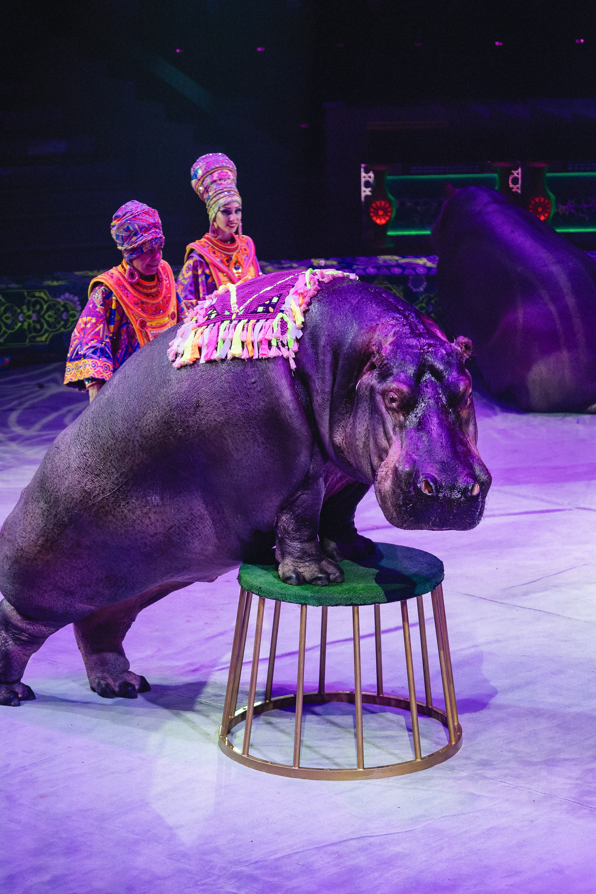 Пресс-показ шоу «Песчаная Сказка». Воробьева Ксения — Спортивный и танцевальный фотограф Новосибирск