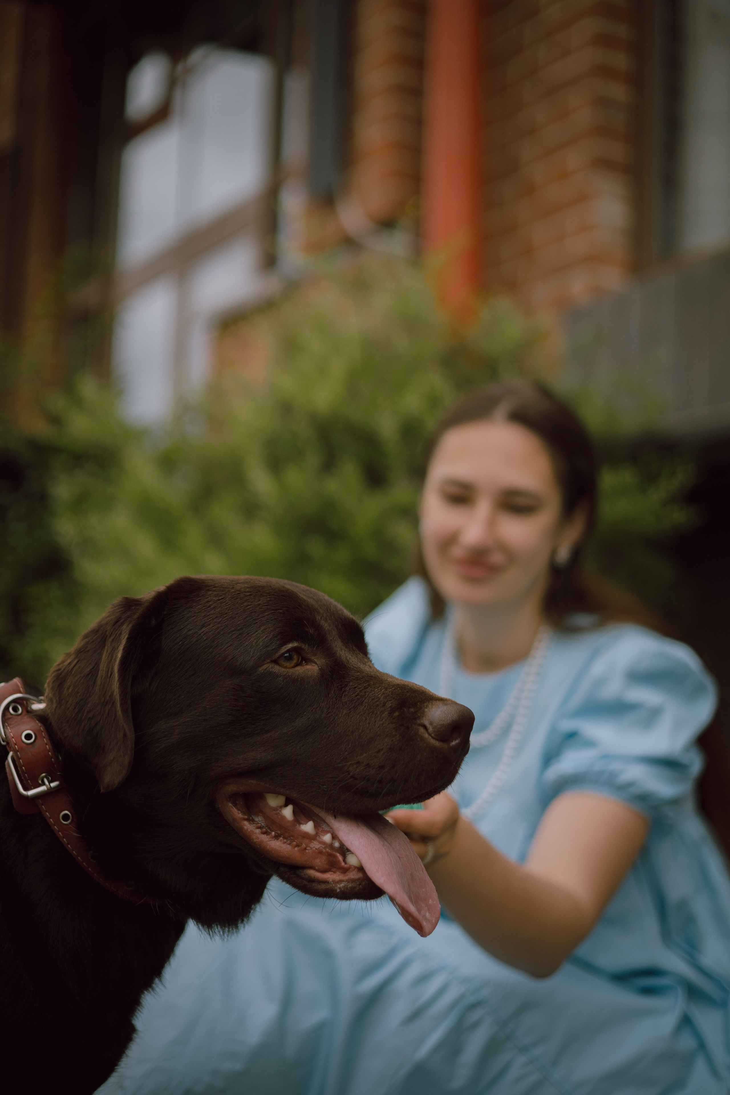 Оля и её шоколадный Тимофей. Фотограф — анималист •love-story•|Санкт-Петербург
