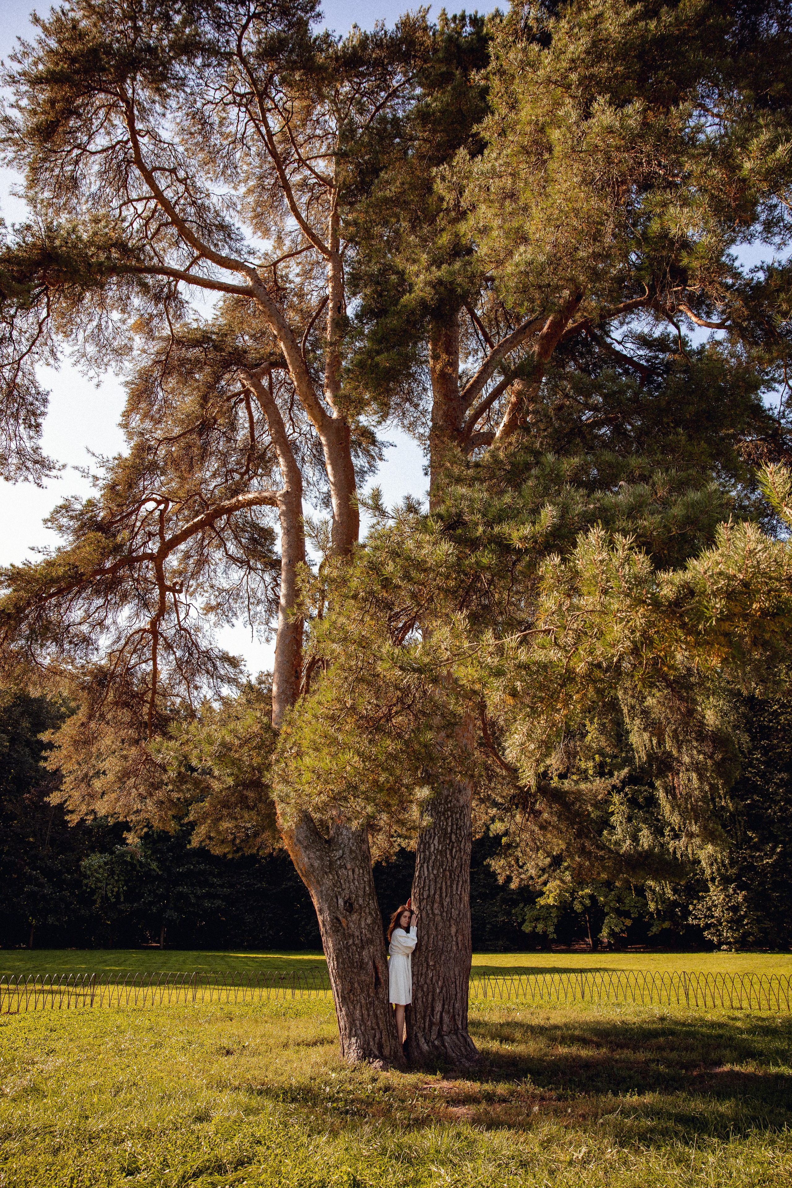 Галя освобождение. Дарья Бухреева — фотограф, видеограф и фототерапевт. Москва и мир