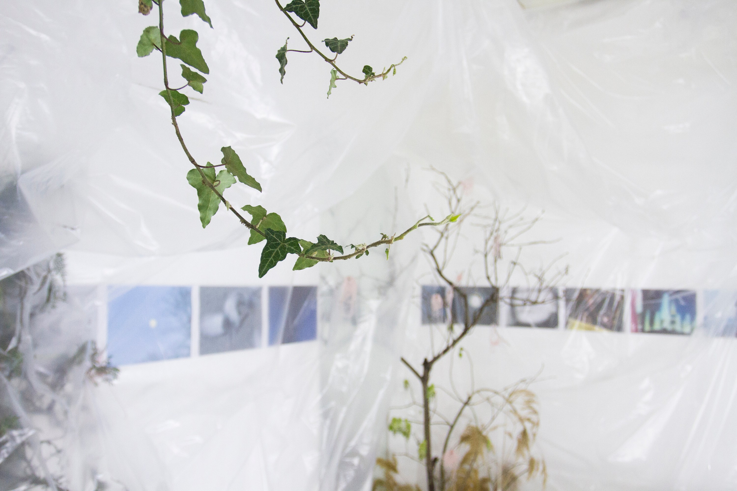 2024, The exhibition «How Do You Smell?». KST