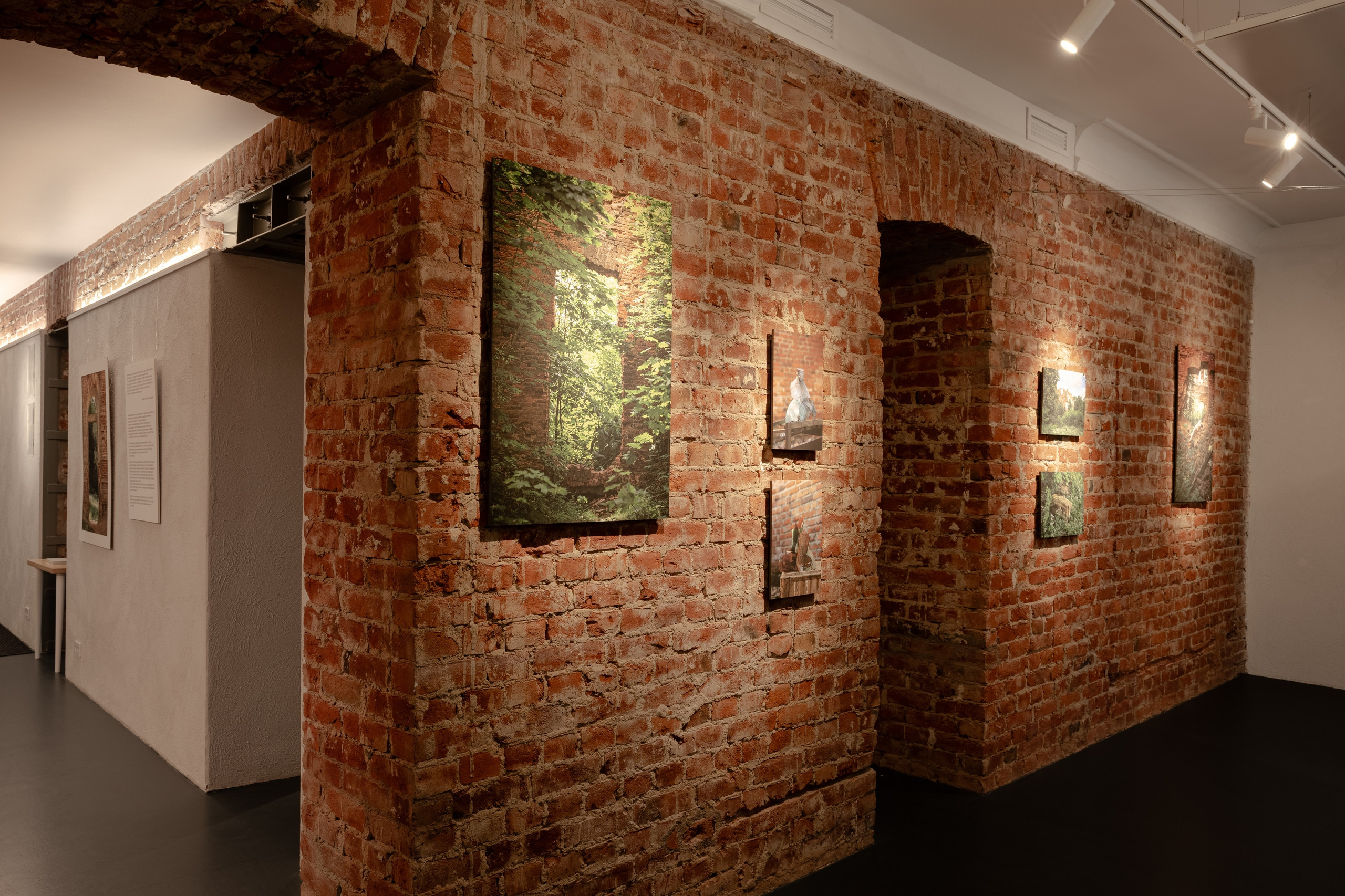 Живое, мёртвое, спутанное