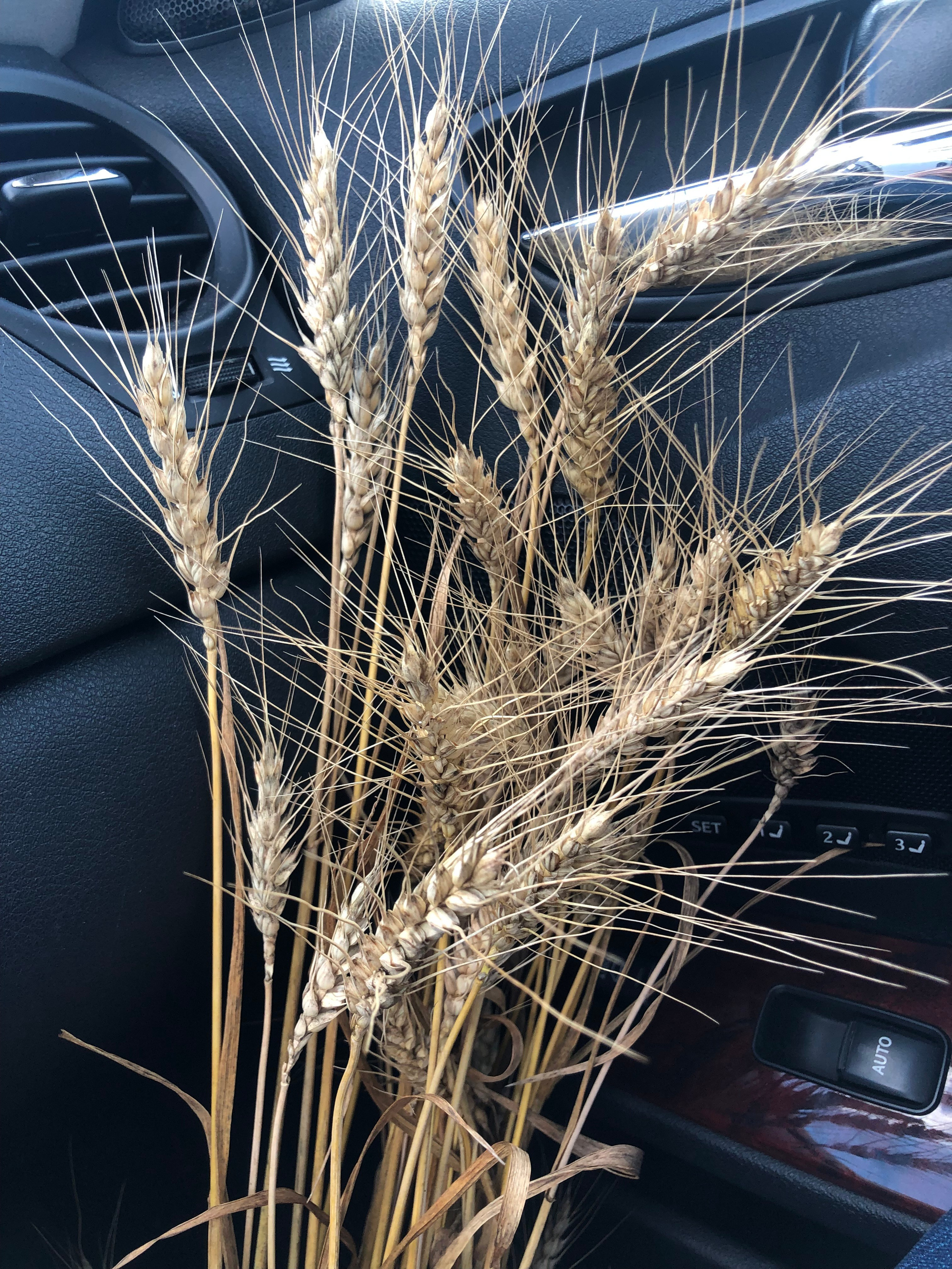 Путешествия как ресурс. Путешествия со смыслом