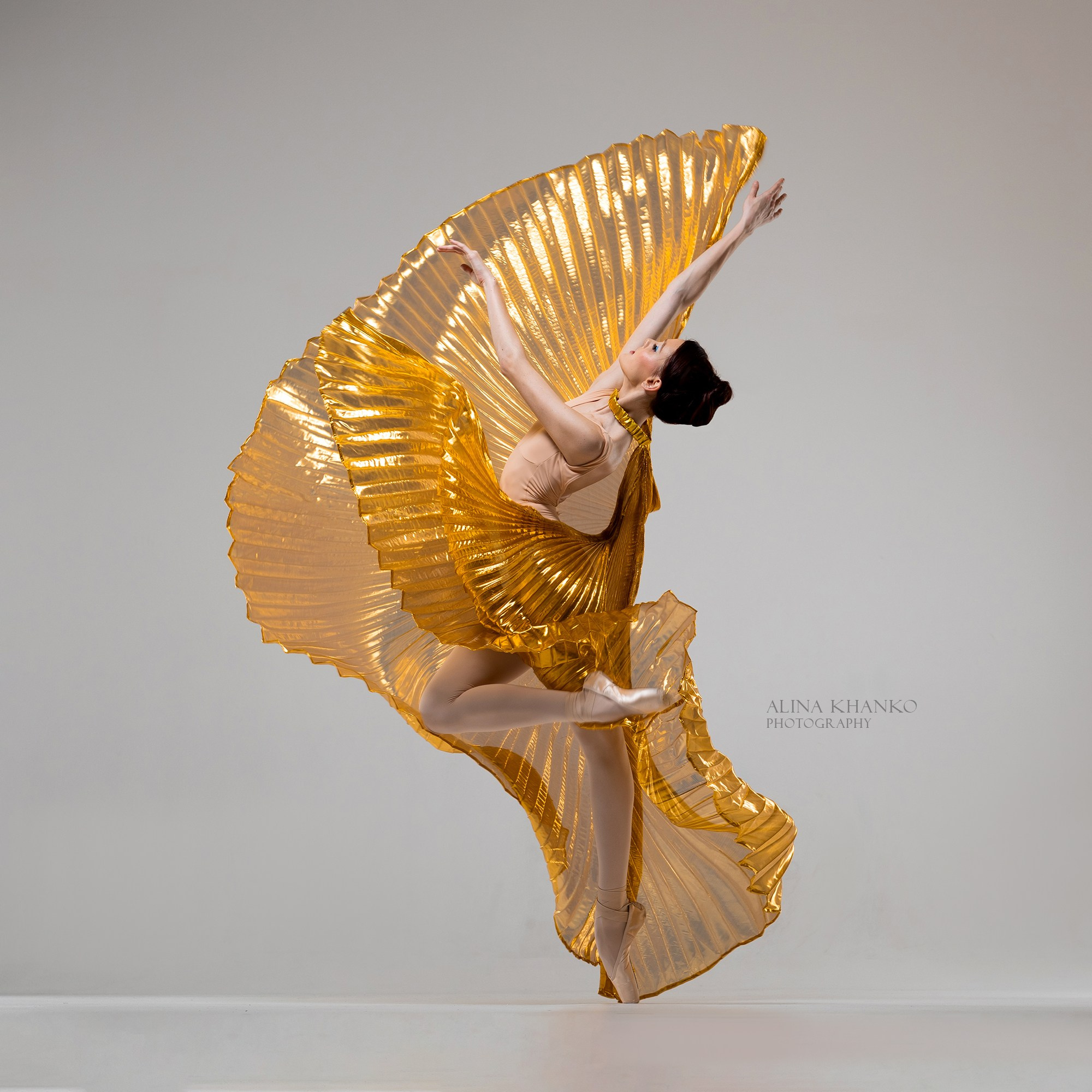 Крылья золотые напрокат бесплатно. Балетный фотограф Алина Ханько — Душа Балета