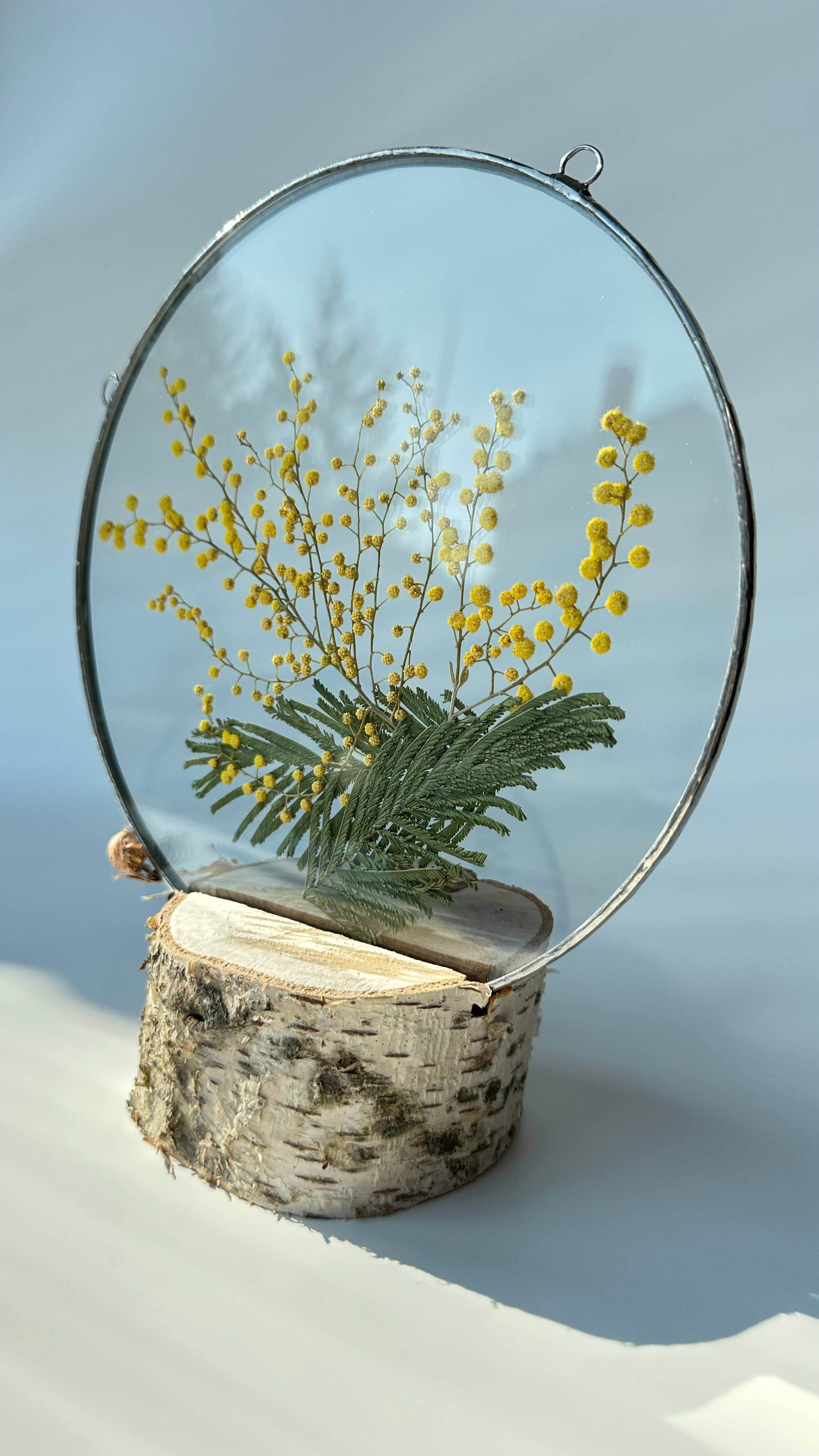 Мимоза круг 20 см. Оформляю пространства. Витражи с сухоцветами в технике Тиффани