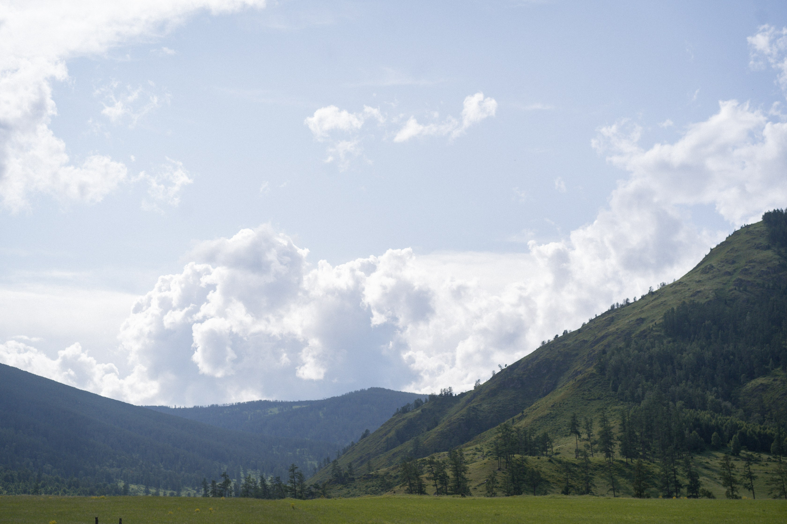 Алтай 2025. Лиза Фирстова