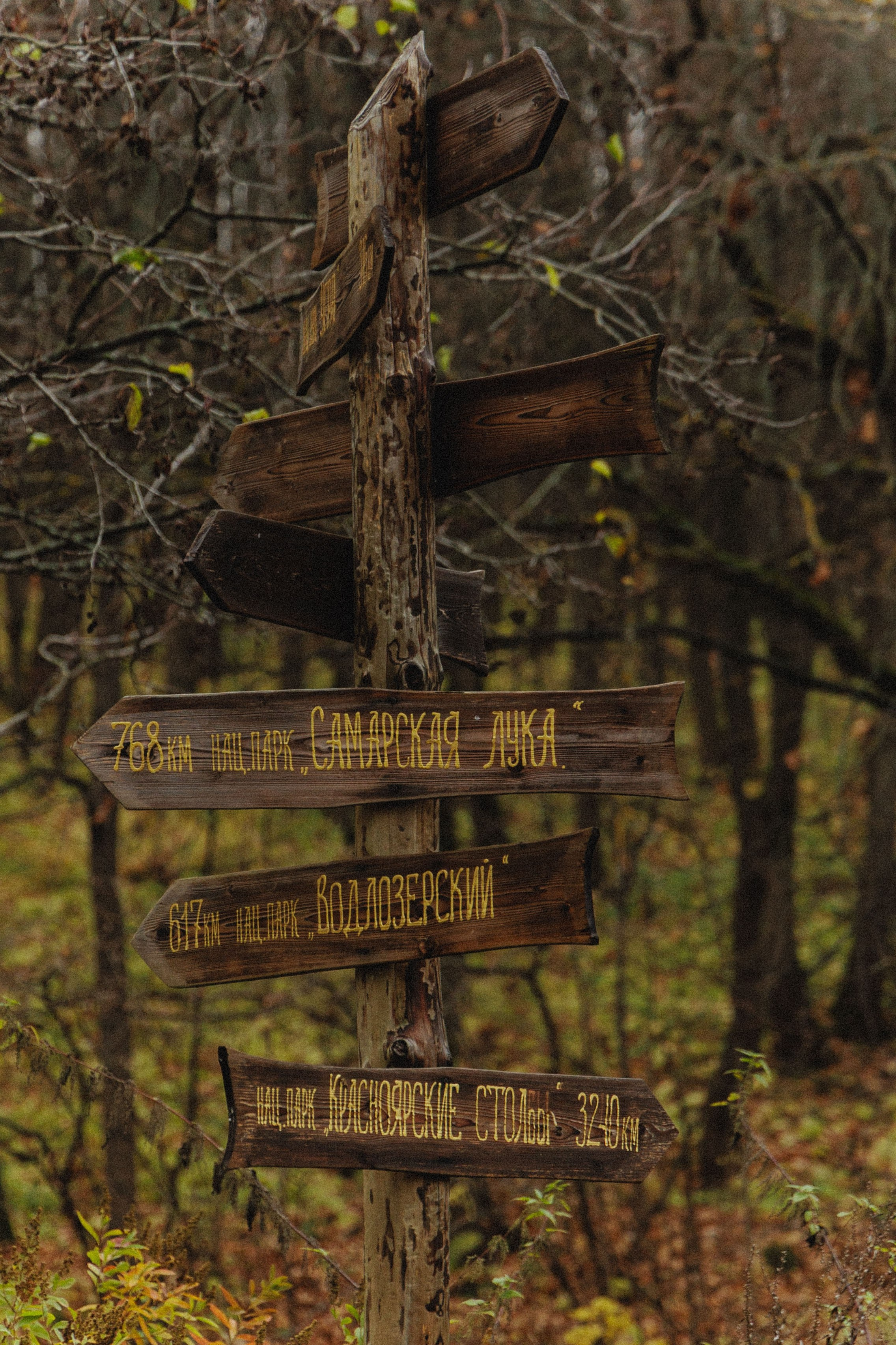 О том, как мы исследовали земли Залесские. Главная