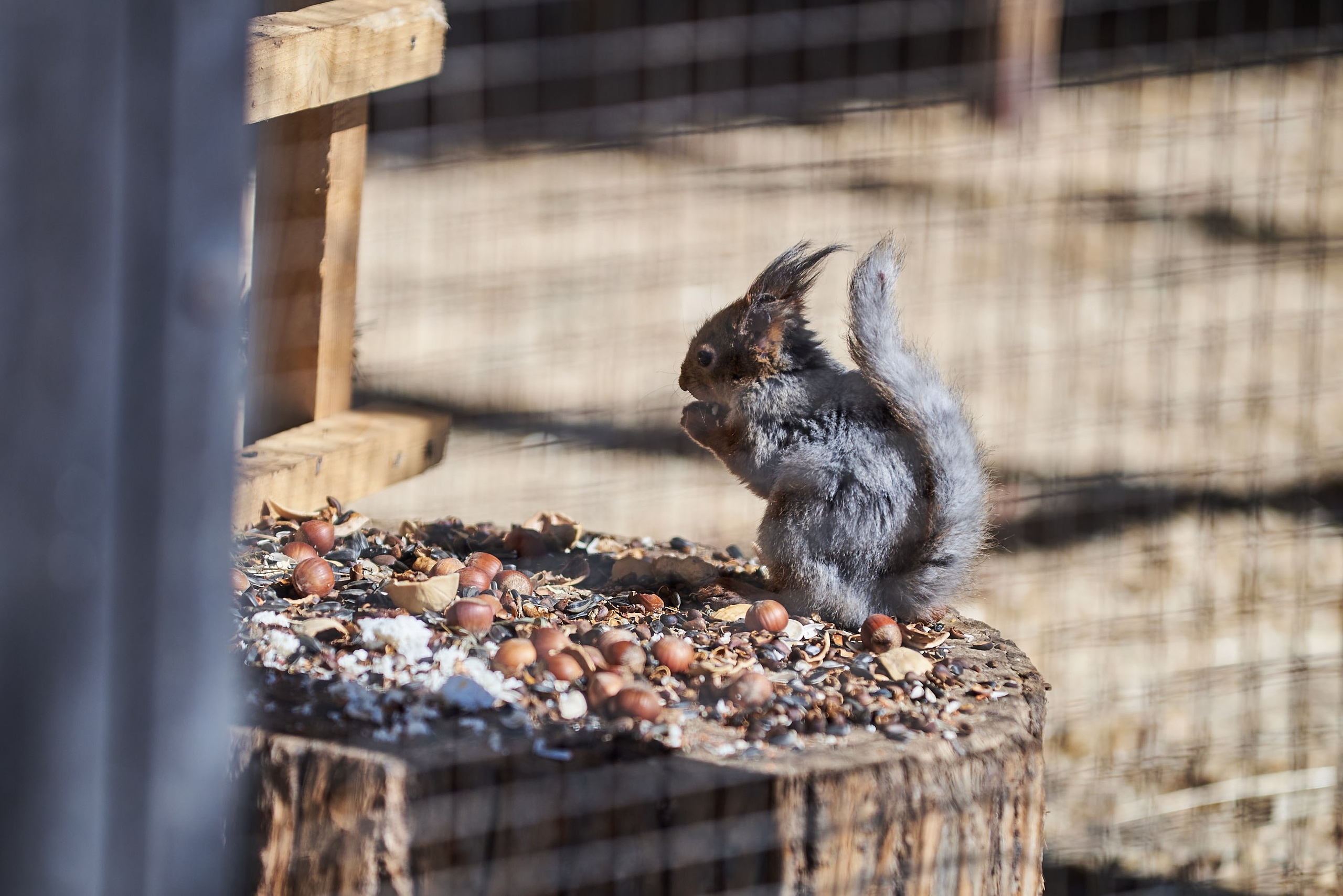 Зоопарк Иваново. Фотограф в Иваново: Каталожная съемка одежды и постельного белья, Wildberries