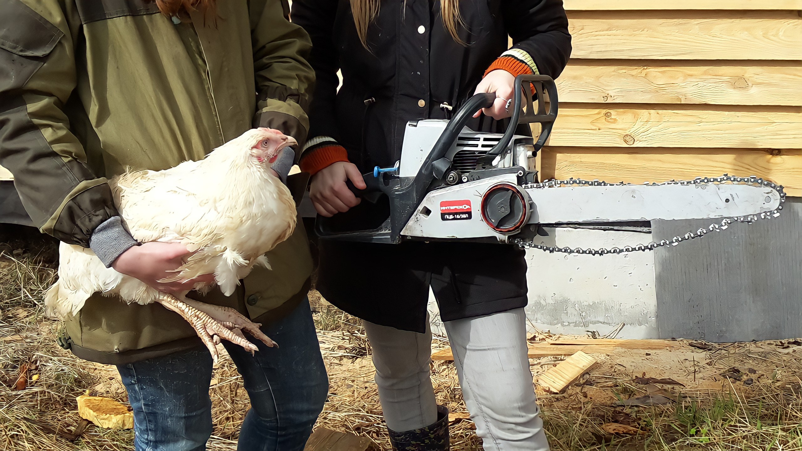 Автор: Екатерина Петренко