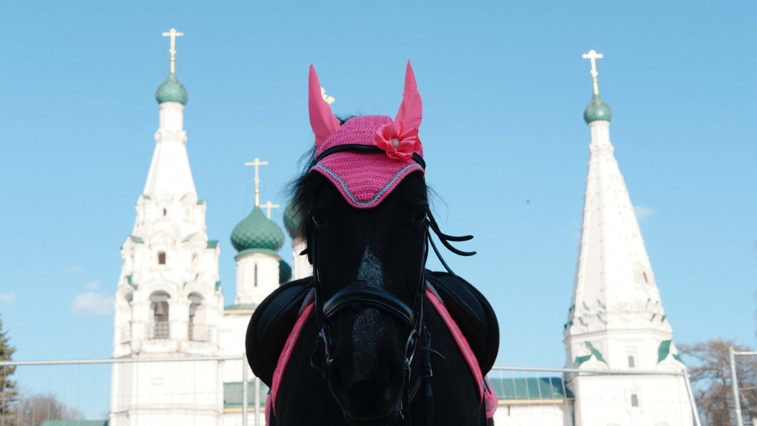 29.03 — 30.03.2025 // фотовыезд в Ярославль. Фотовыставки serebro.gallery, в которых автором можешь стать ты! | Москва