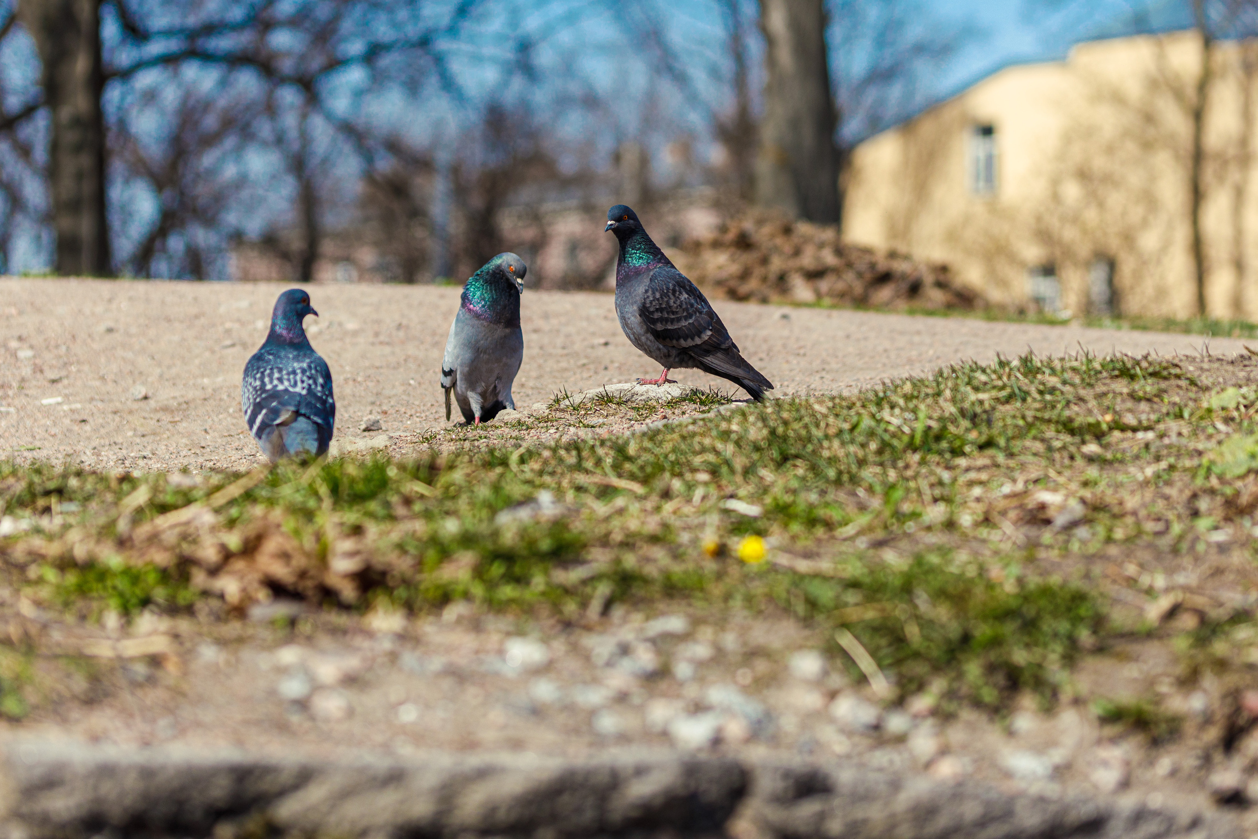 Весна. Фотограф Балаев Михаил