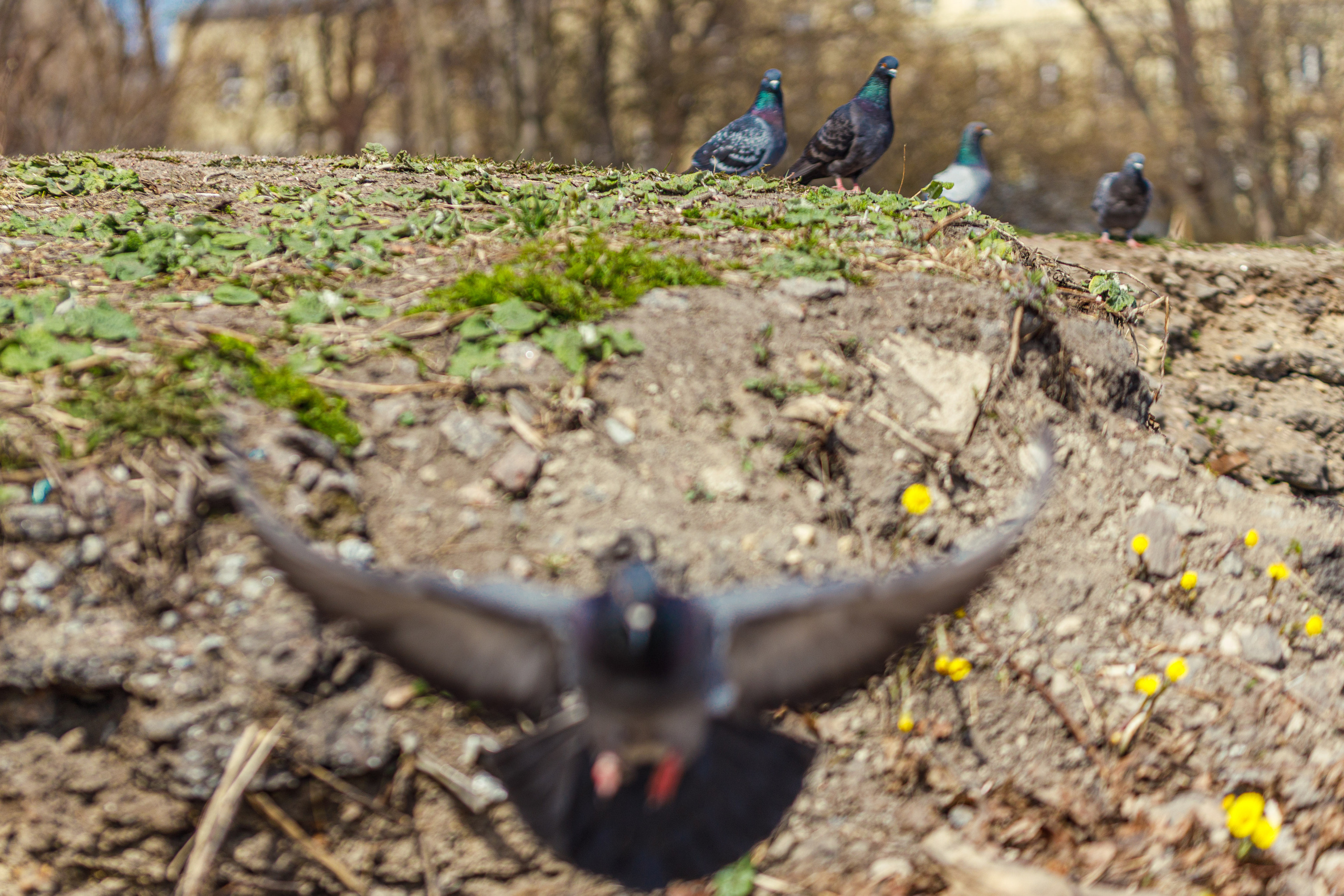 Весна. Фотограф Балаев Михаил