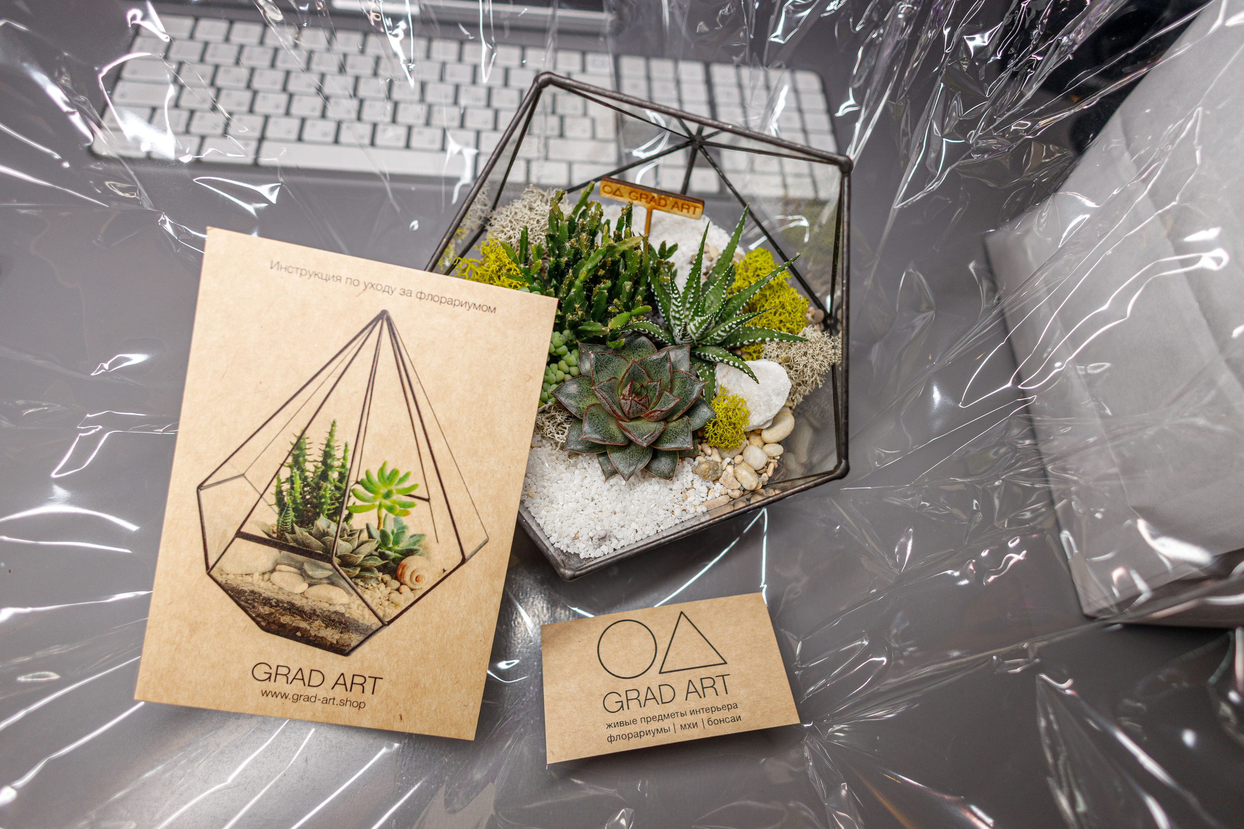 Флорариум икосаэдр. Фотограф Балаев Михаил