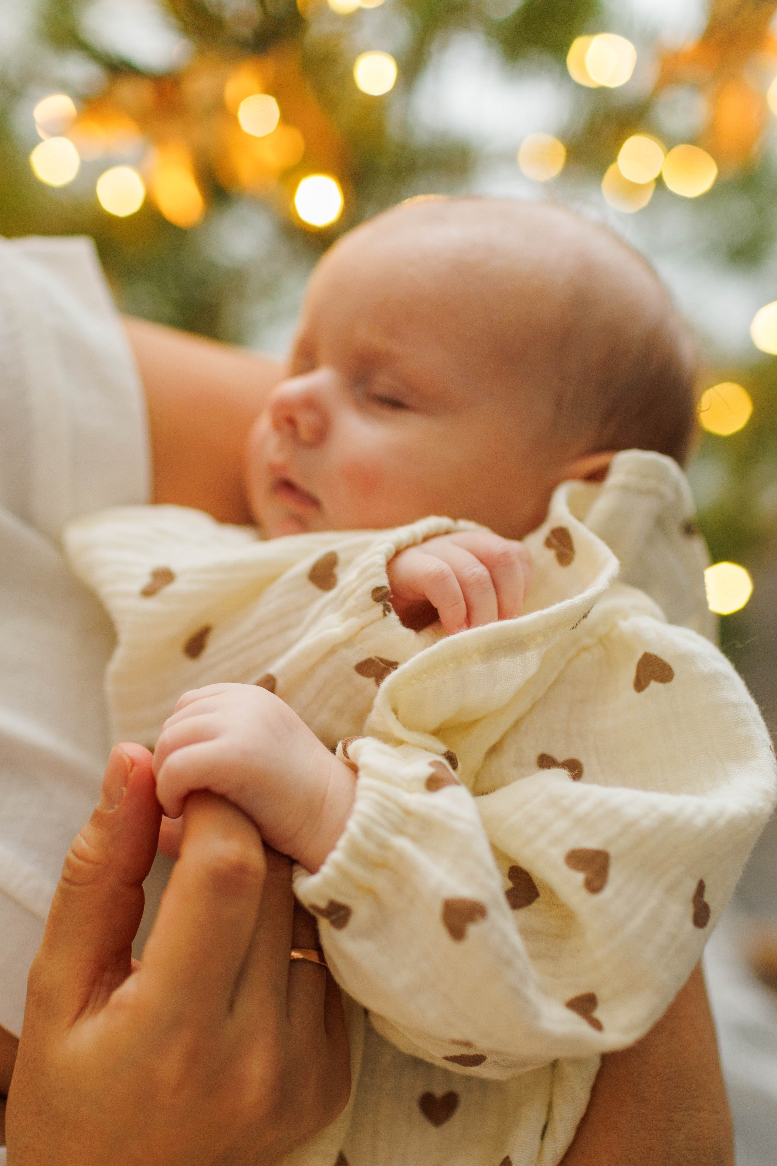 Под Новый год. Детский и семейный фотограф в Твери Ольга Крестьянинова
