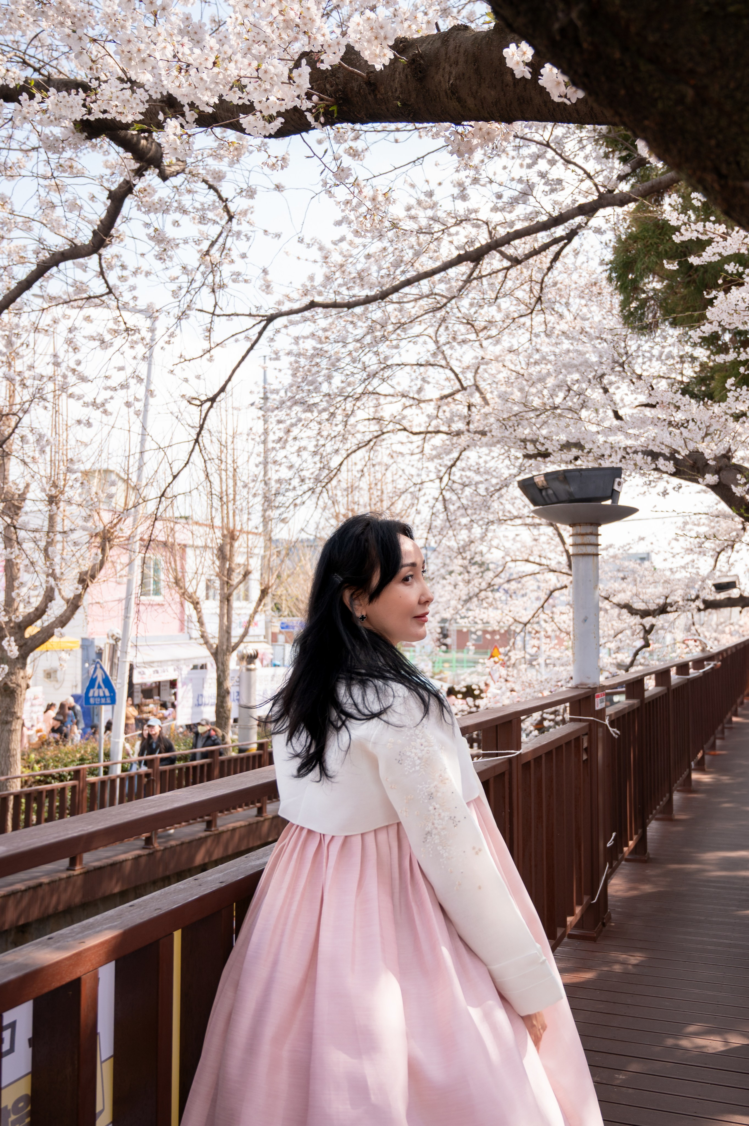 Woman portrait under cherry blossoms in Busan spring photoshoot