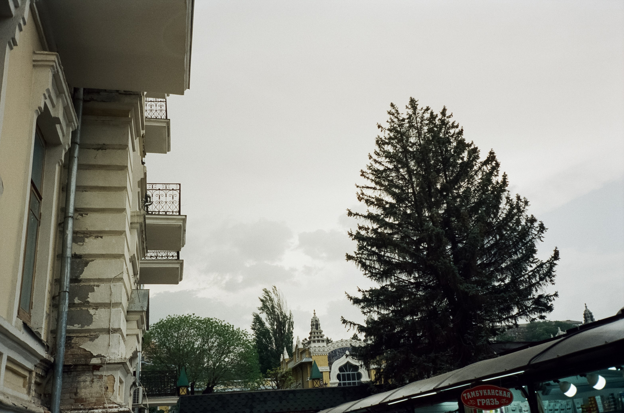 Прогулка по Курортному проспекту и Чебурашка. Кисловодск. Фотограф-документалист Мария Осокина