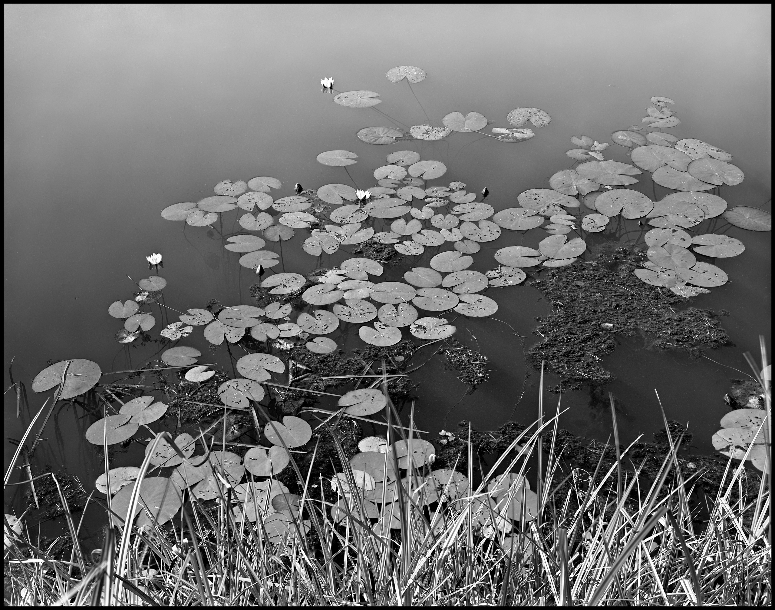 Sergey Kondriuk art-photographer | artist