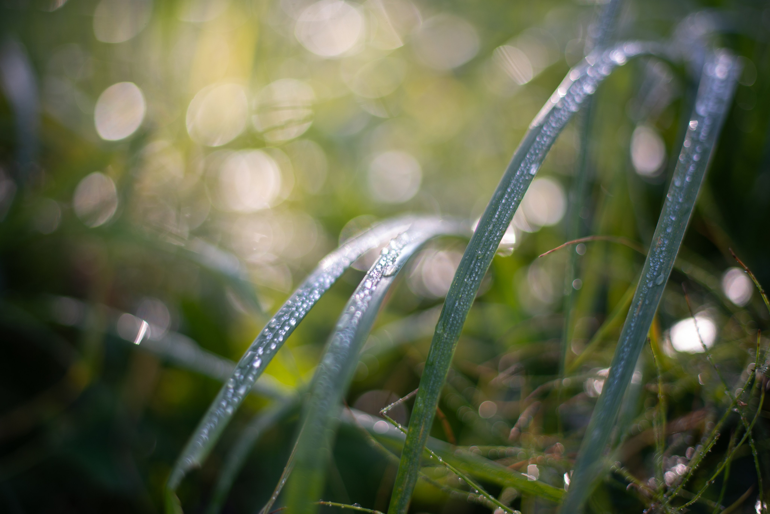 Victoria Radjevna Репортажный Фотограф — Видеограф Москва • Санкт-Петербург