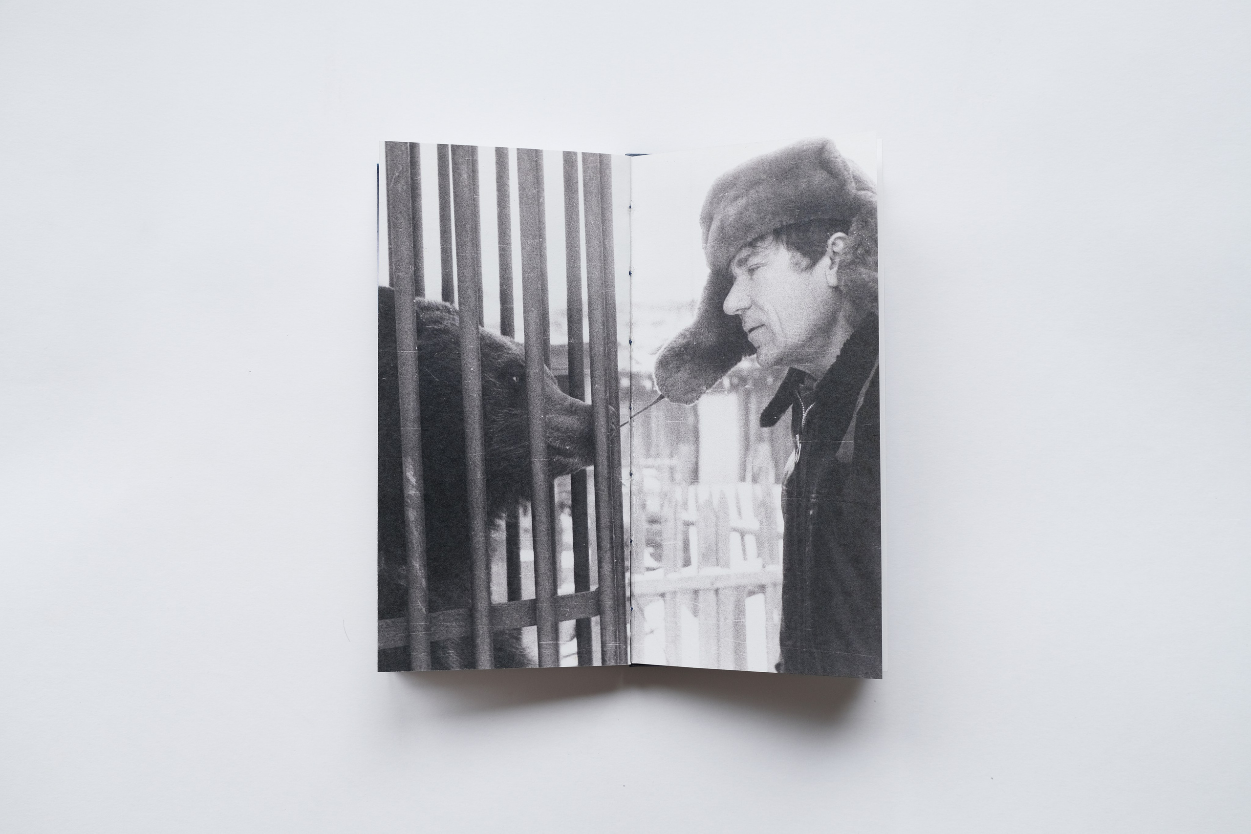 Малая медведица. Элина Гусарова