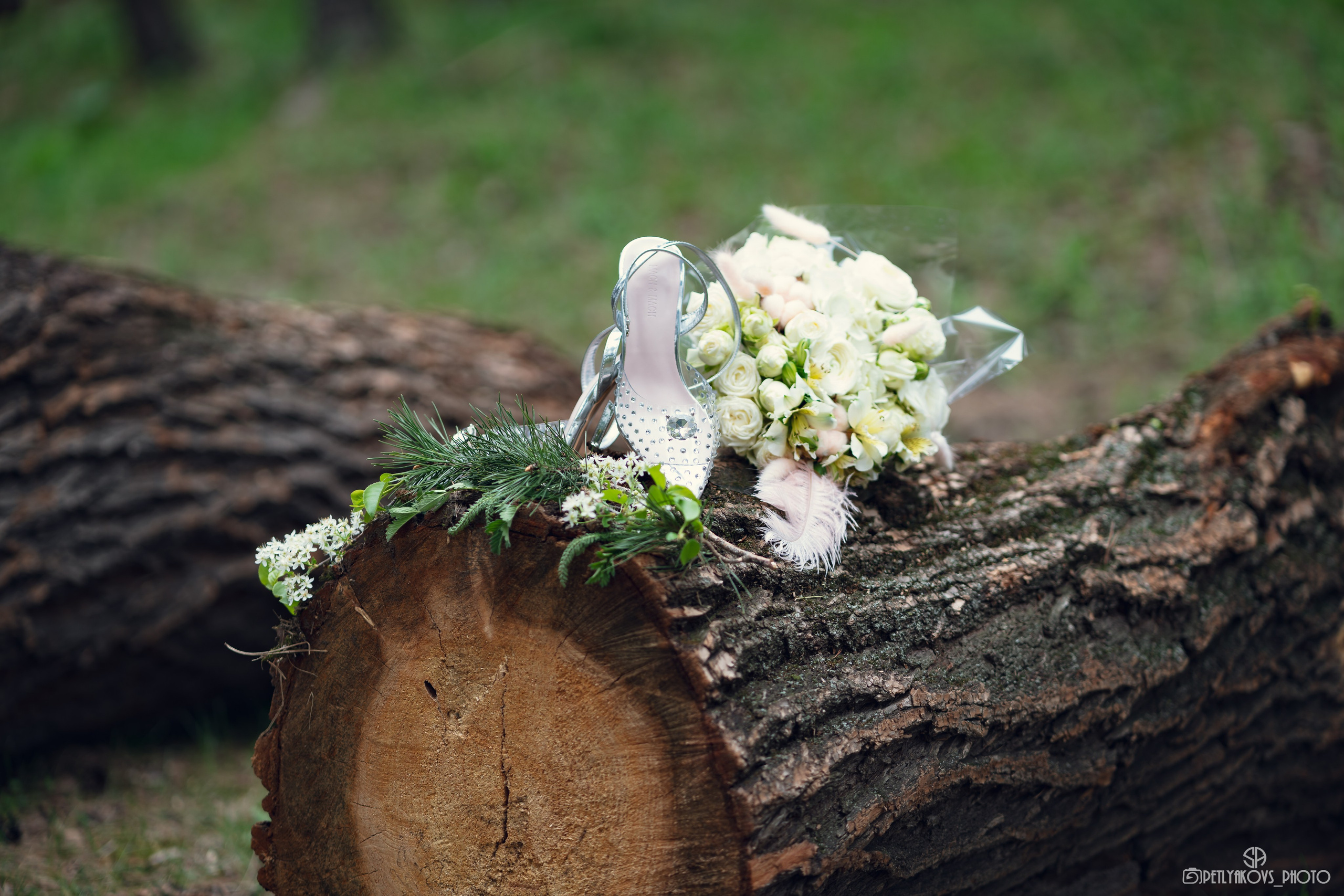 Свадьба на лошадях Эко-парк Каньон. Фотограф, видеограф Пятигорск, Ставрополь, Ессентуки, Petlyakovs_photo