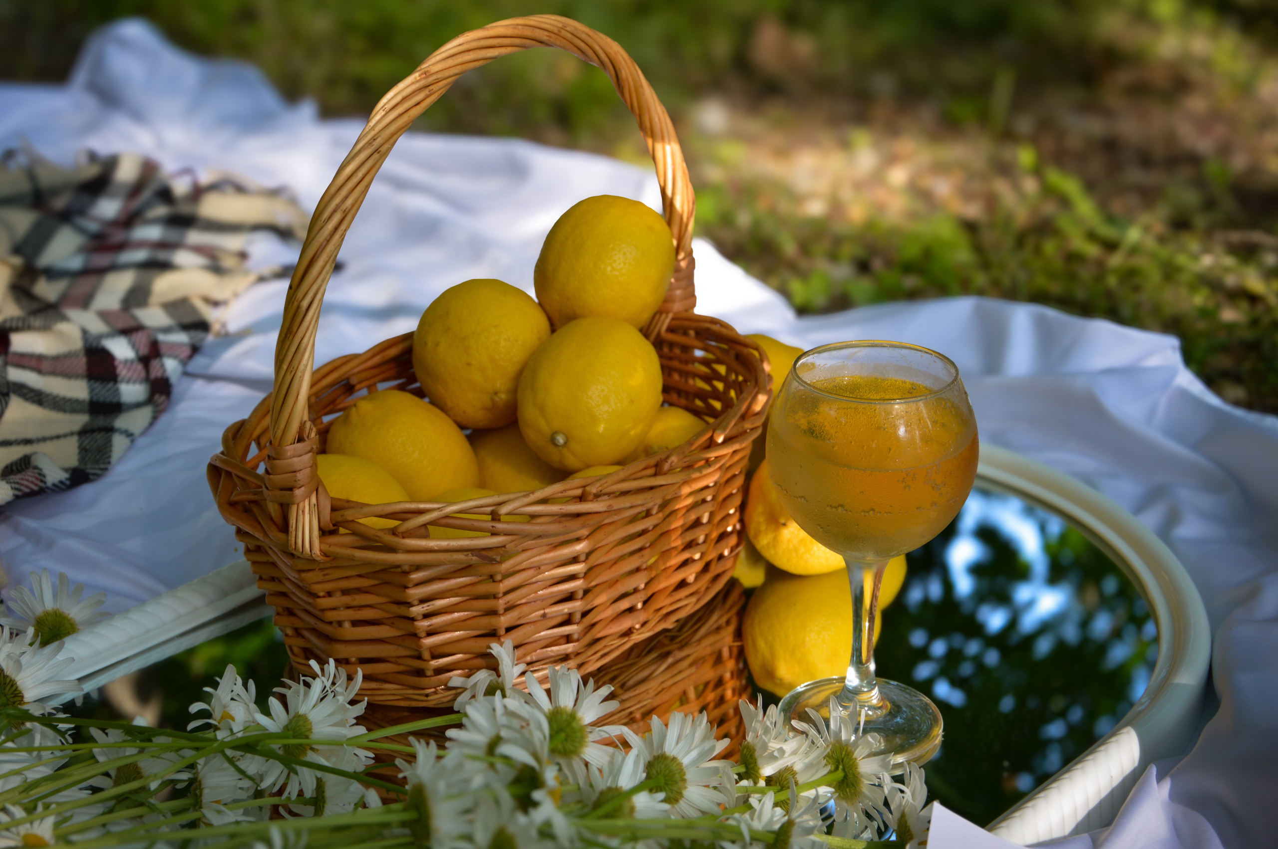 Предметная съемка на природе