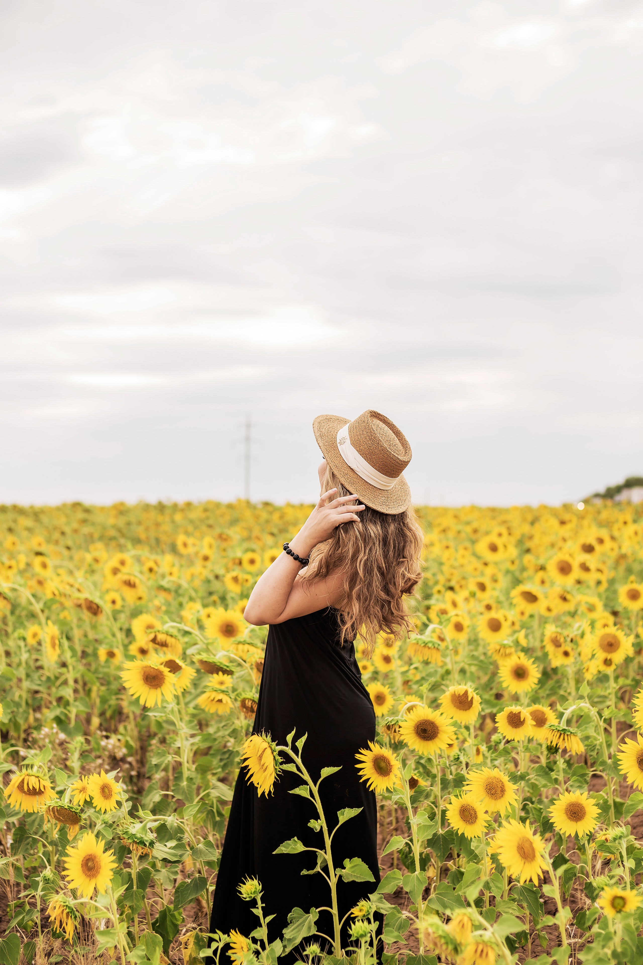 Фото в подсолнухах. Семейный фотограф в Саратове