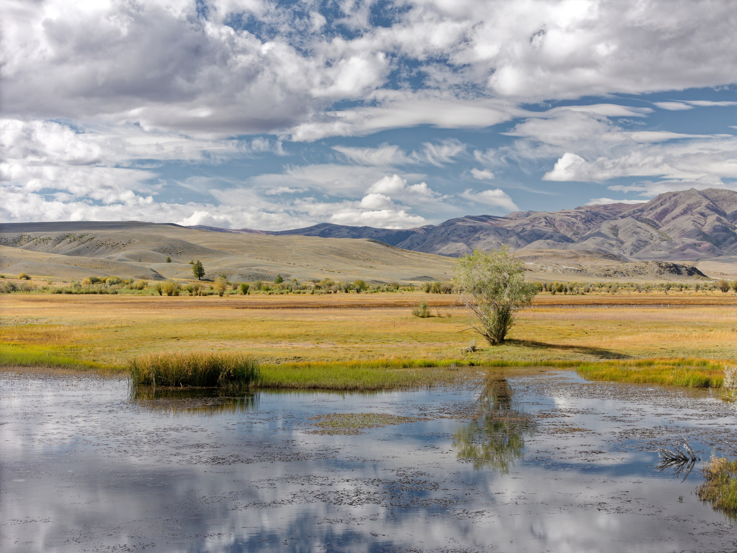 Путешествие по южному Алтаю. Семоха Валерий. Фотограф