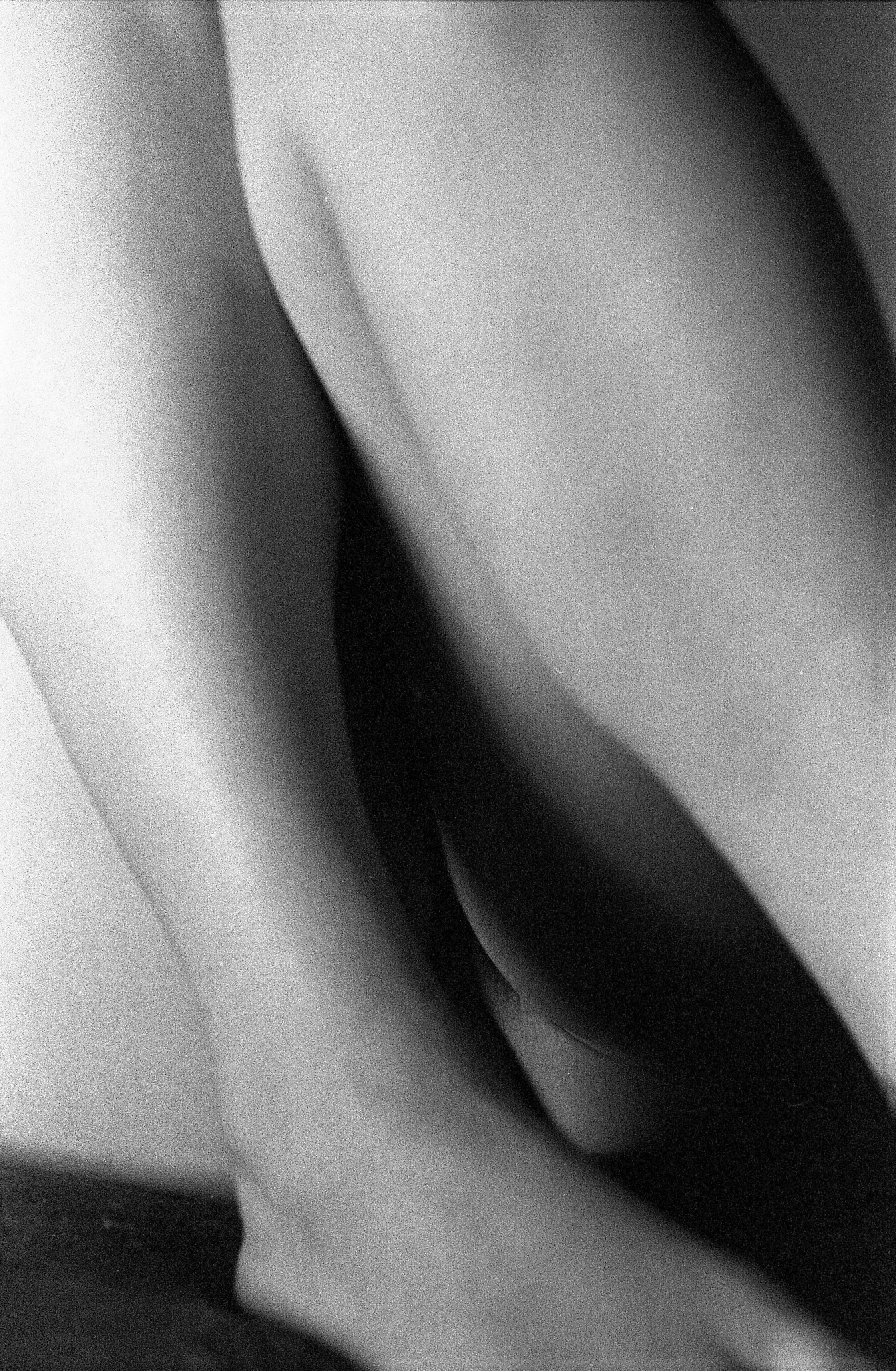 Ilford Delta 3200, 2025