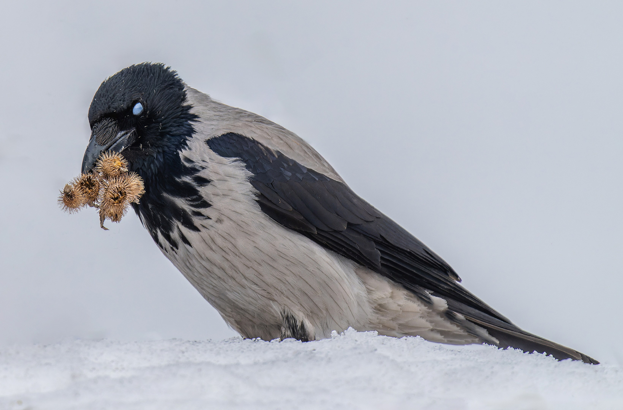 Творчество. Константин Дем | Фотограф