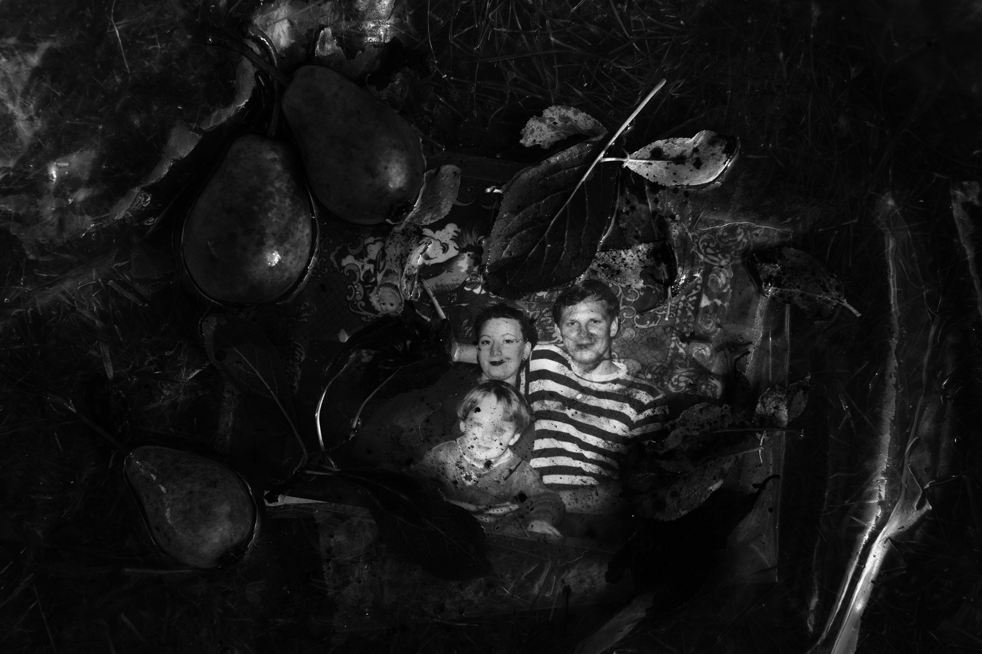 Древо жизни (2021). Мария Завьялова | фотограф и преподаватель фотографии