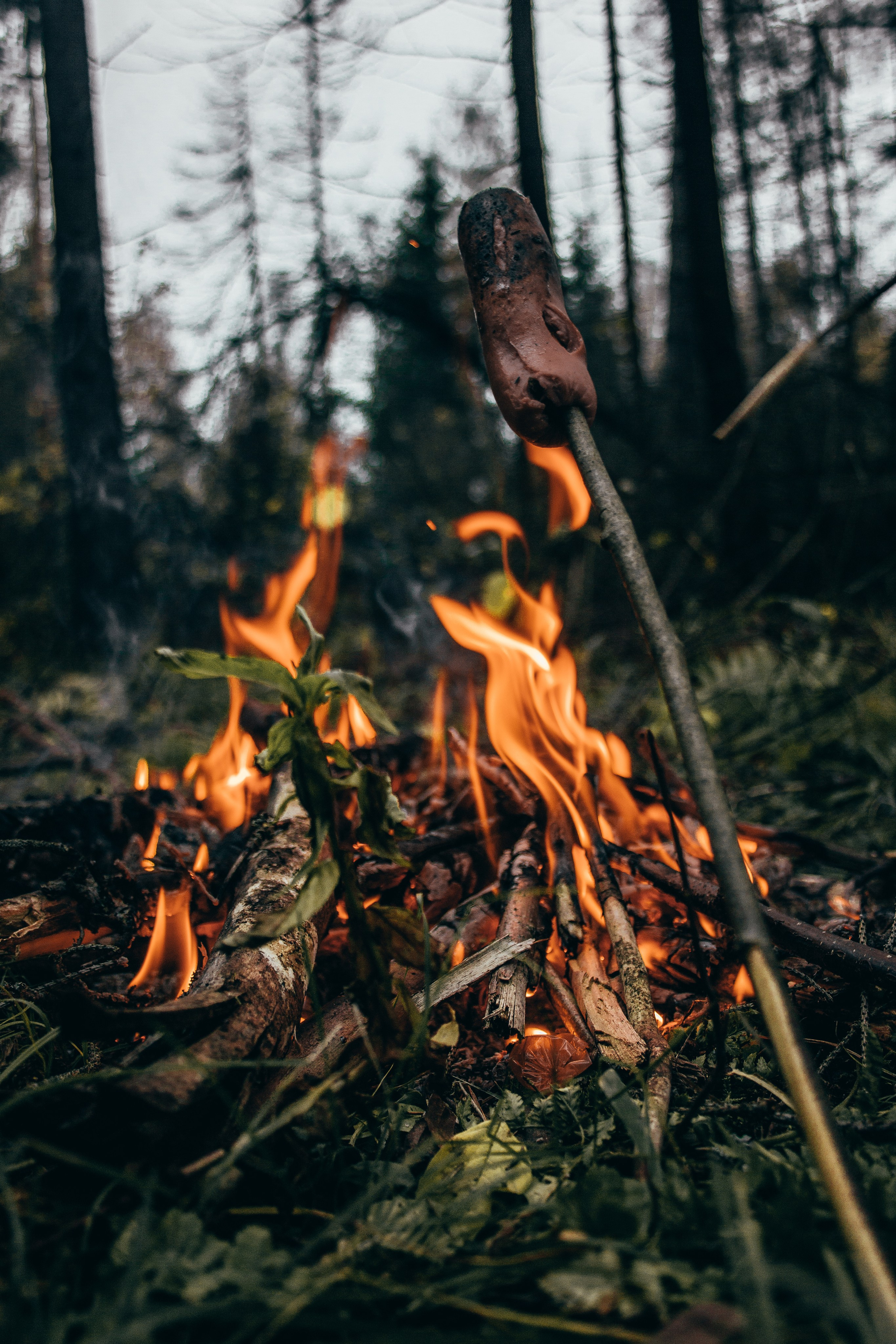Фотография. Фотограф и видеограф DOSERZH (Добрин Сергей) в городе Москва и МО