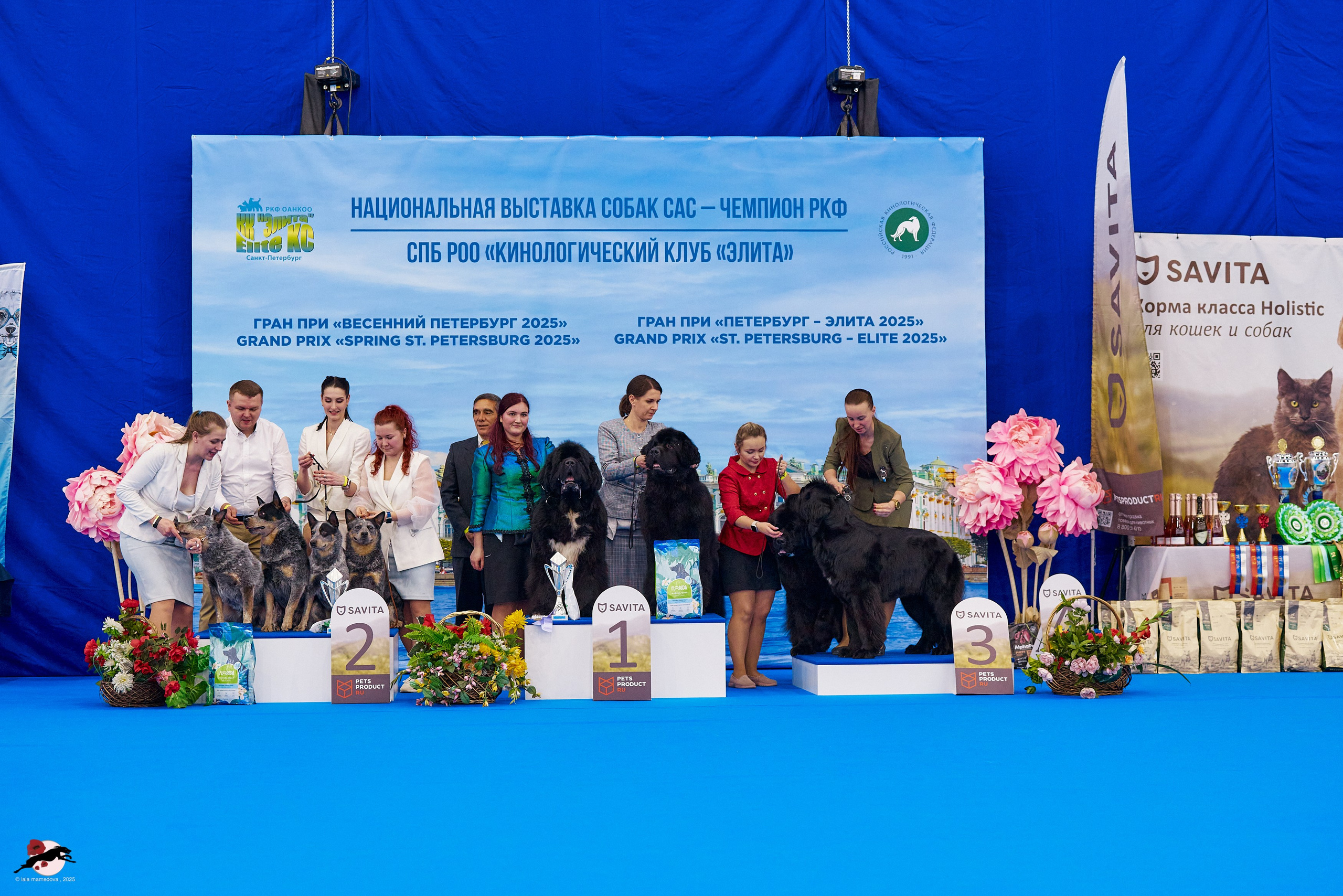 ГРАН ПРИ «ВЕСЕННИЙ ПЕТЕРБУРГ» & «СУПЕР КУБОК «ЭЛИТЫ»-2025»