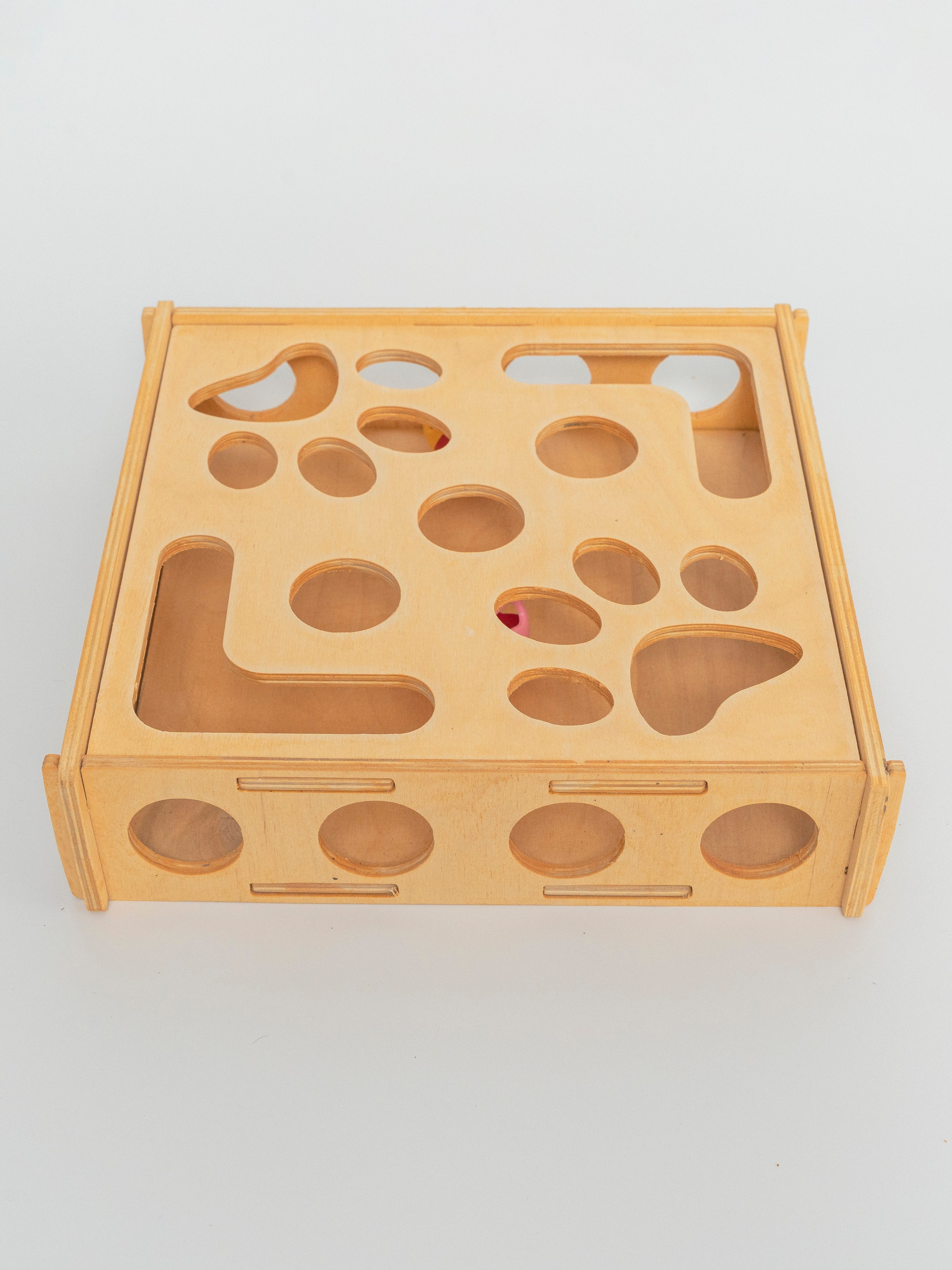 Кот играет с игрушкой‑треком с шариком, развивающая игра дома
