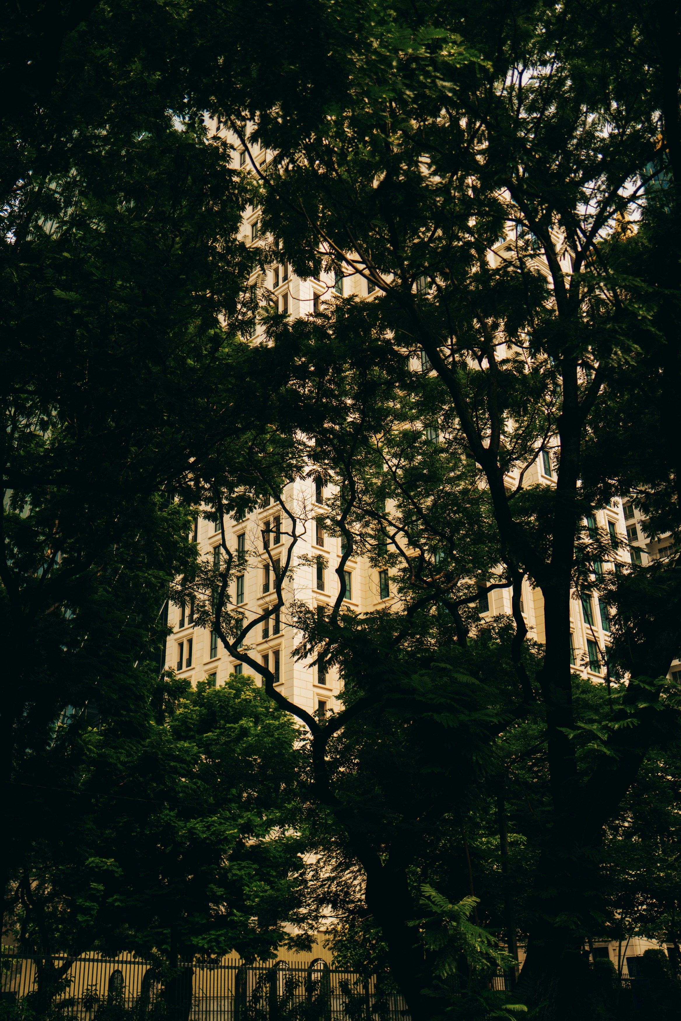 AUTHENTIC FILM. Visual artist Daniil Kontorovich