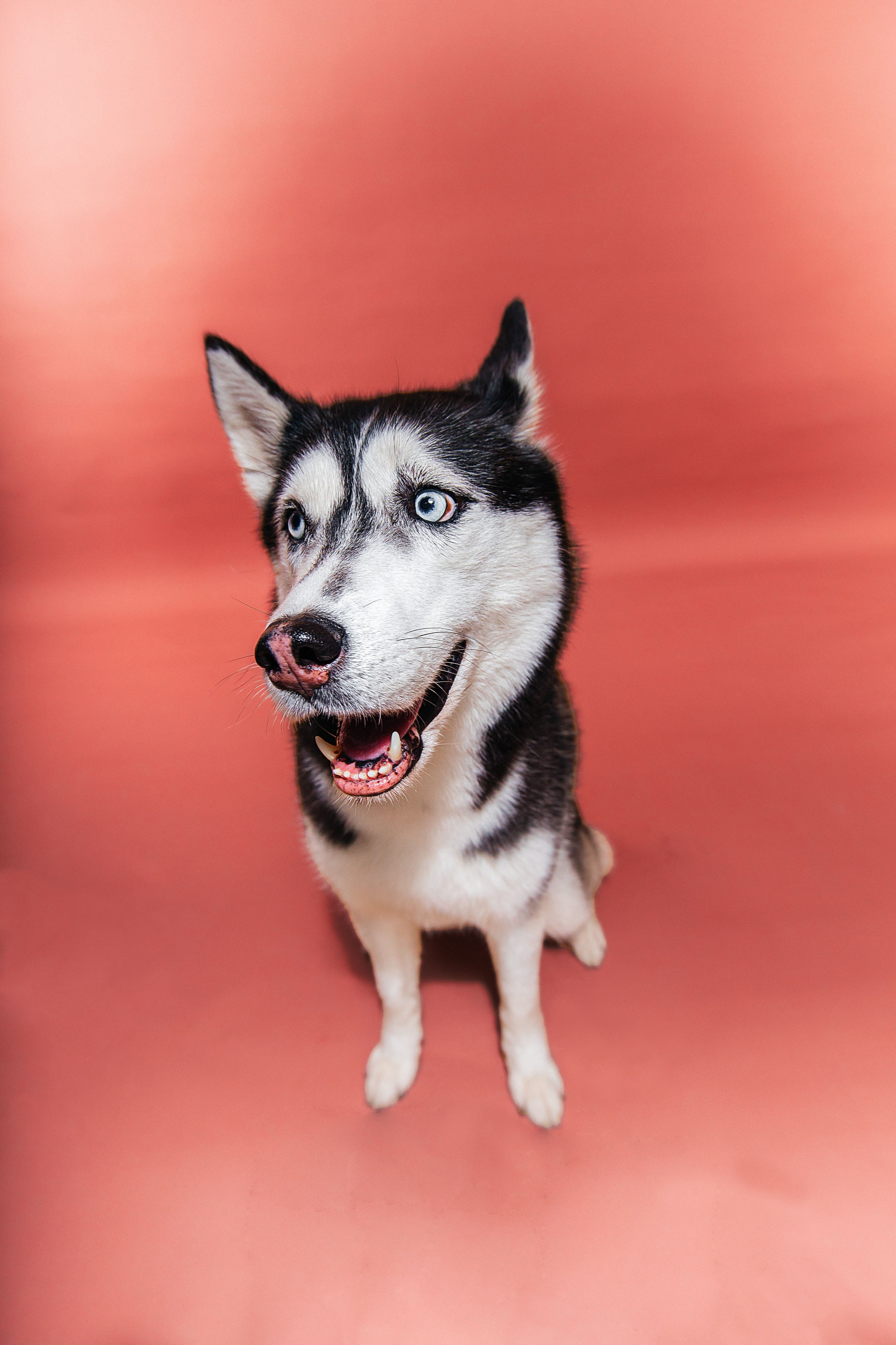 Истории. Репортажный фотограф в Новосибирске