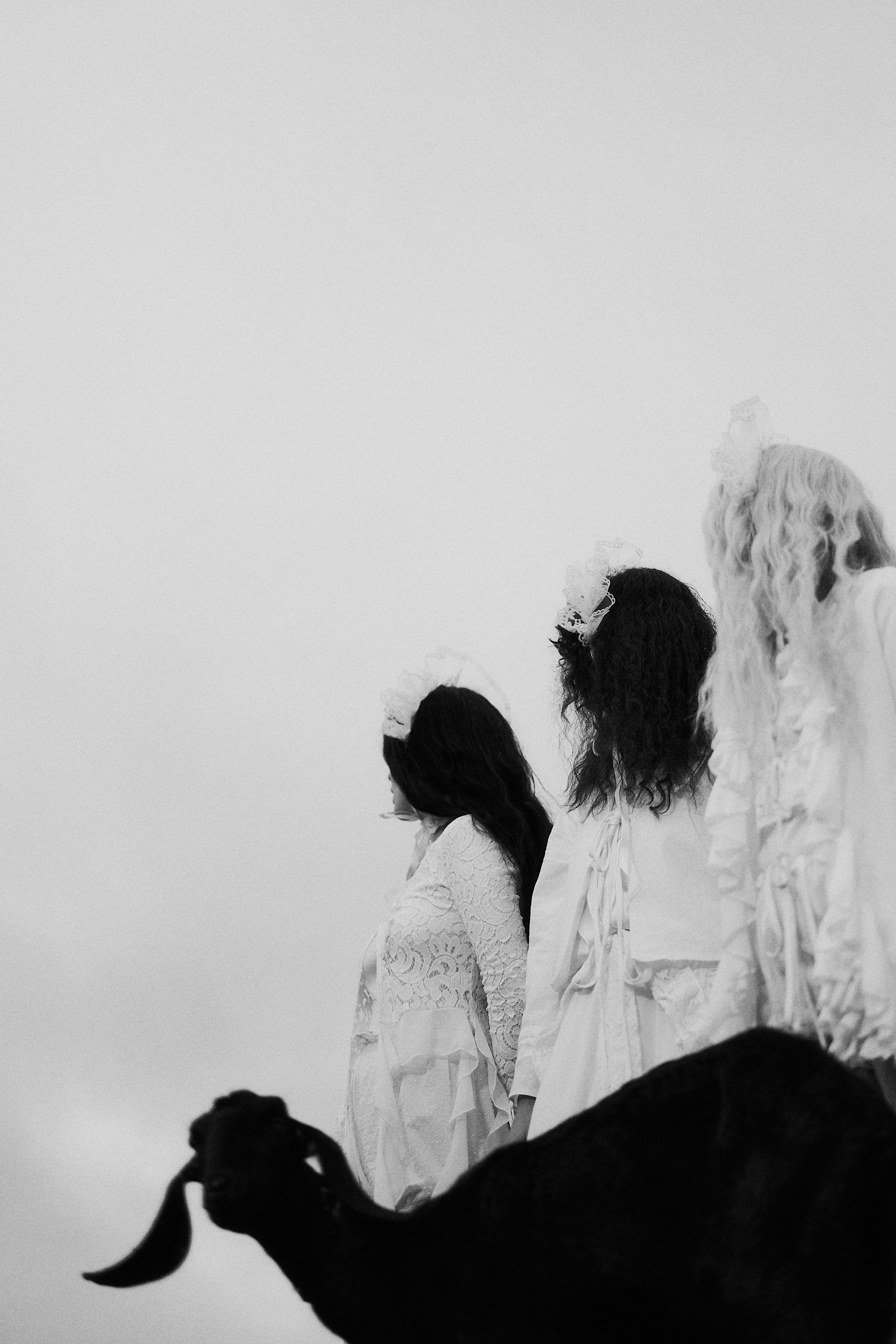 Виолетта и Александр. Свадебный и семейный фотограф в Иваново и Москве Мильков Вадим