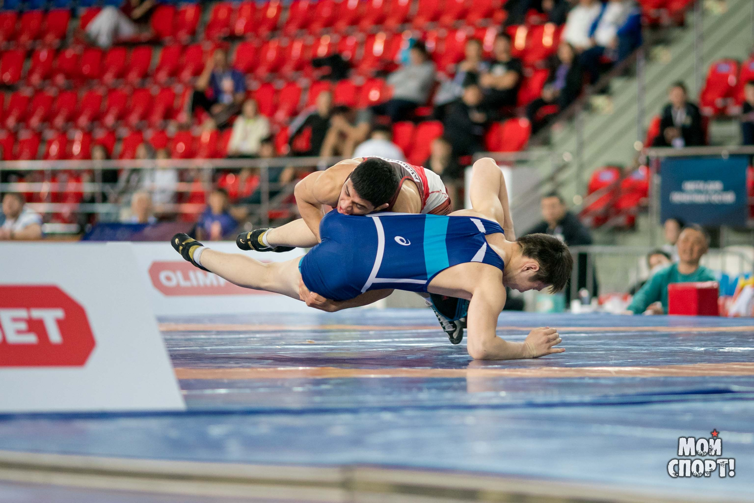 Международный турнир по вольной борьбе среди юниоров памяти олимпийского чемпиона Романа Дмитриева. Студия «Мой Спорт!» — все о спорте в Якутии