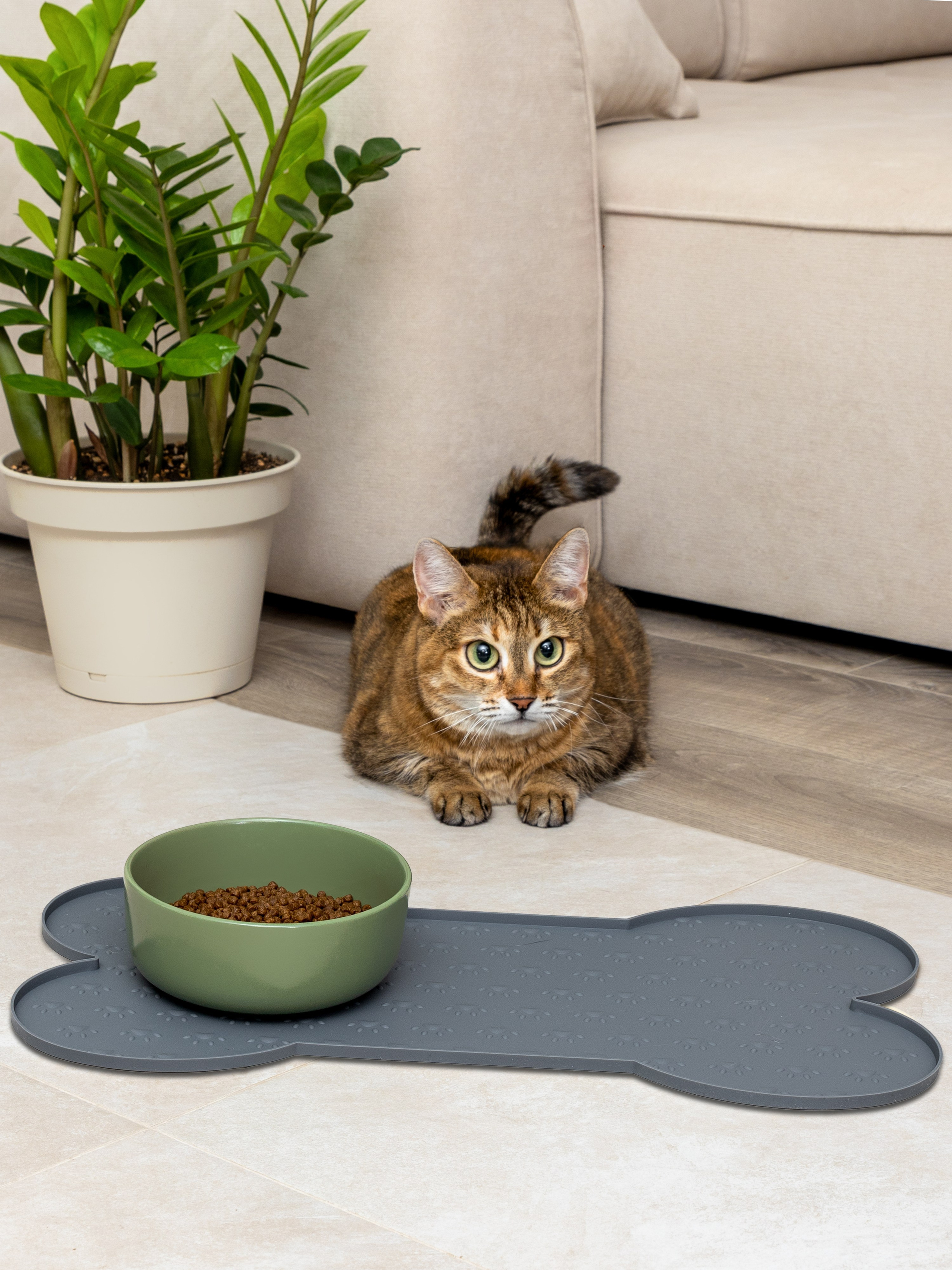 Съемка товаров для животных. Предметная фото и видеосъемка в Краснодаре | Профессиональные продающие фото