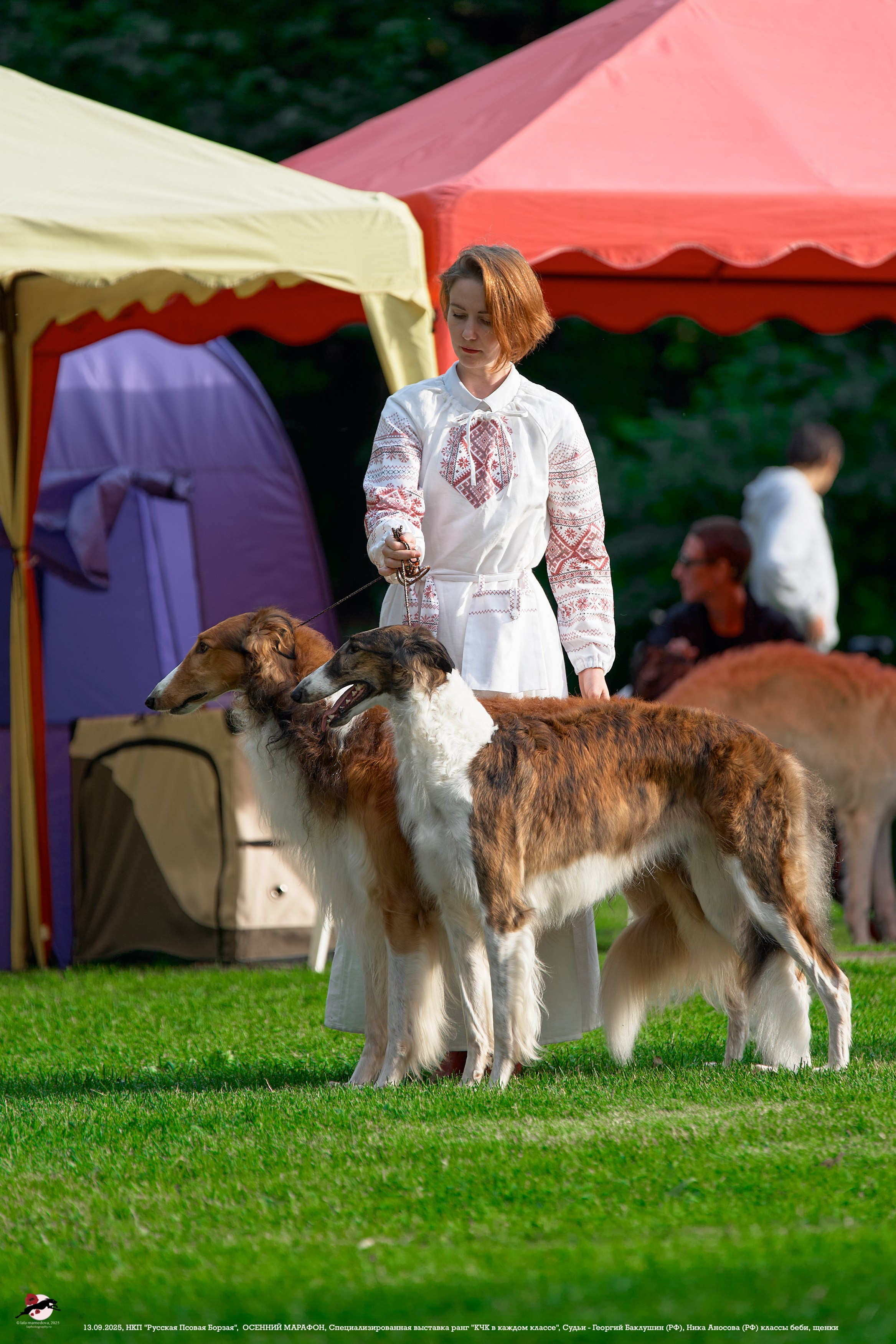 ОСЕННИЙ МАРАФОН | Специализированная выставка породы Русская Псовая Борзая ранг "КЧК в каждом классе"